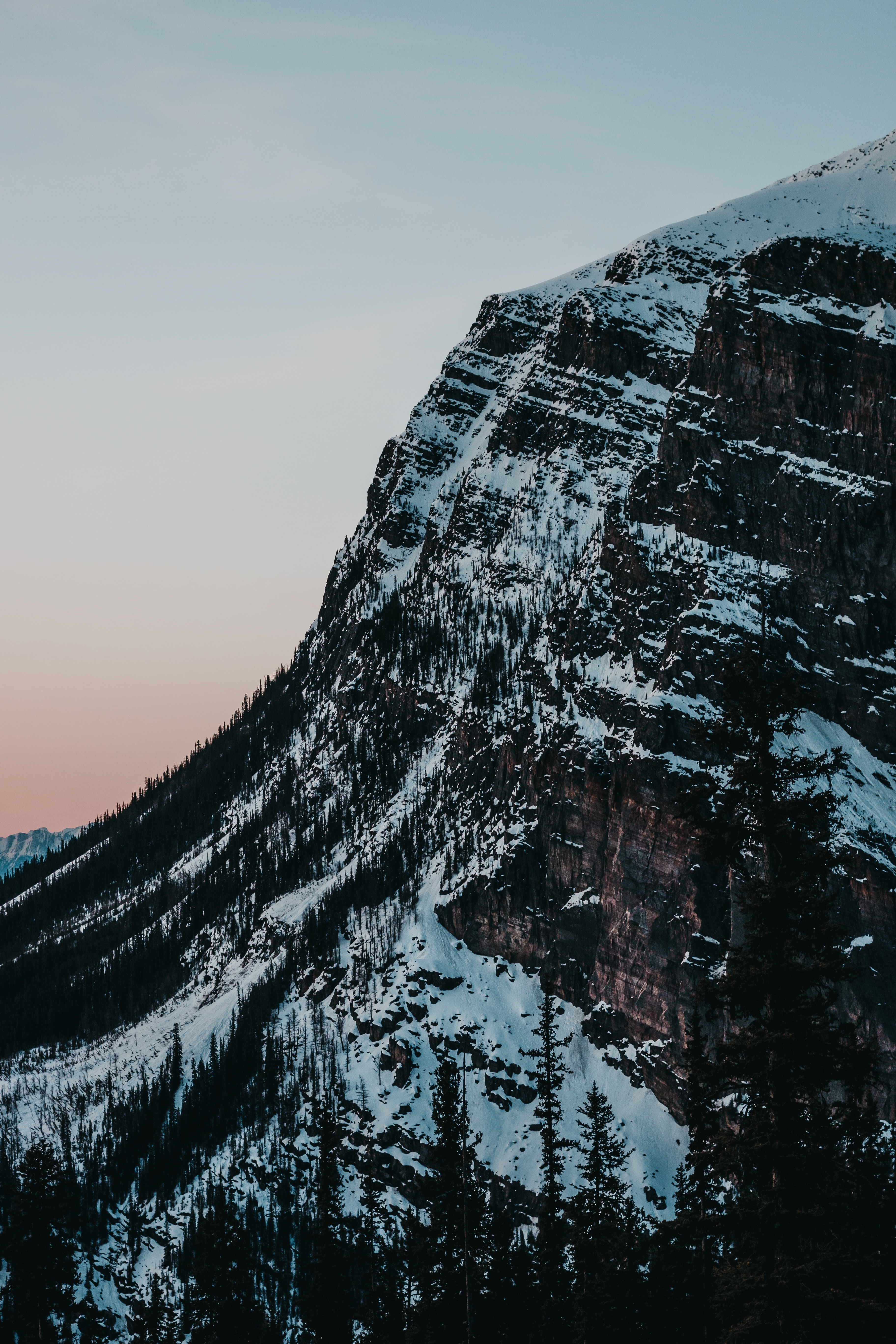 Descarga gratis la imagen Naturaleza, Nieve, Montaña, Cuesta, Pendiente, Árboles en el escritorio de tu PC