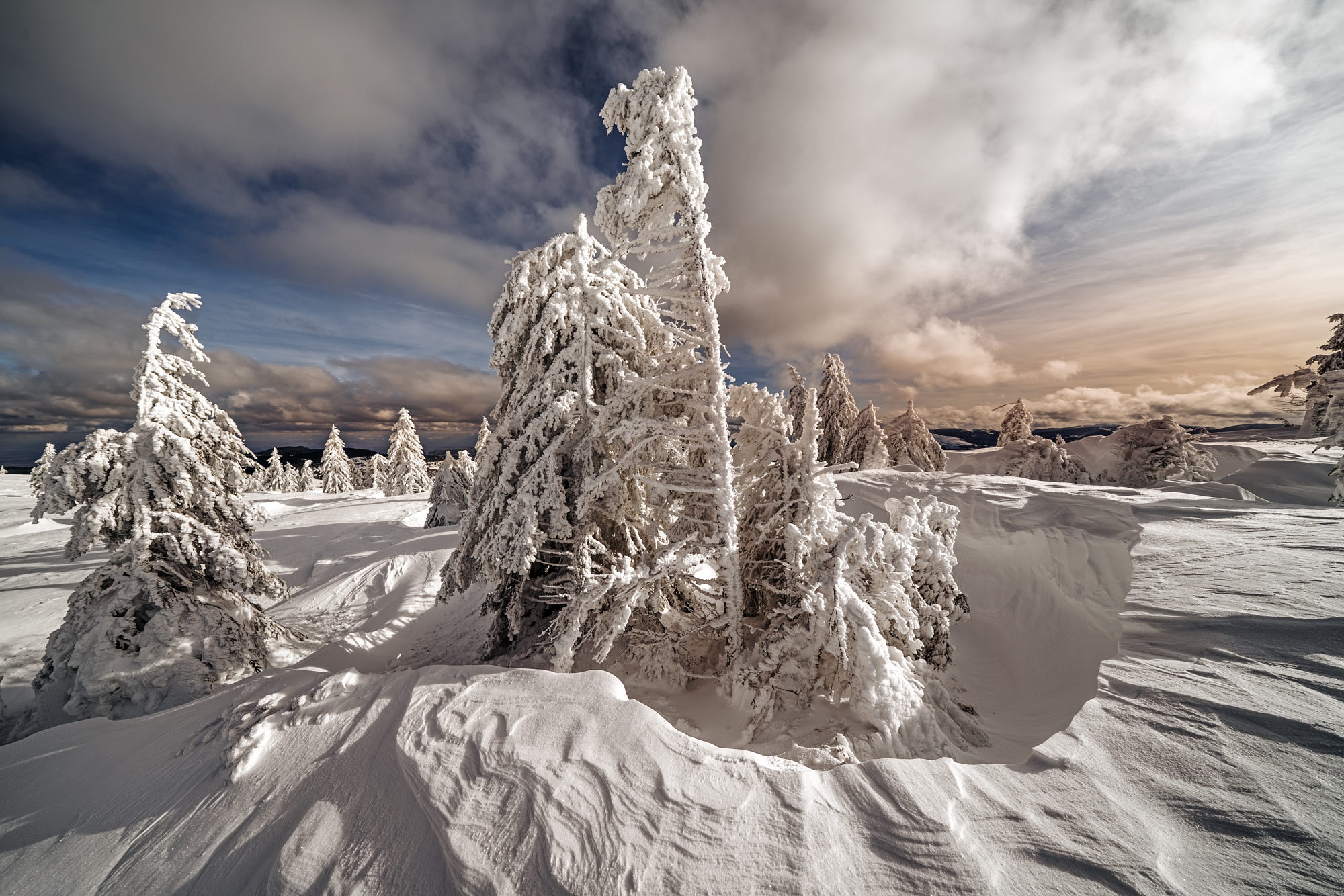 Descarga gratis la imagen Invierno, Nieve, Abeto, Nube, Tierra/naturaleza en el escritorio de tu PC