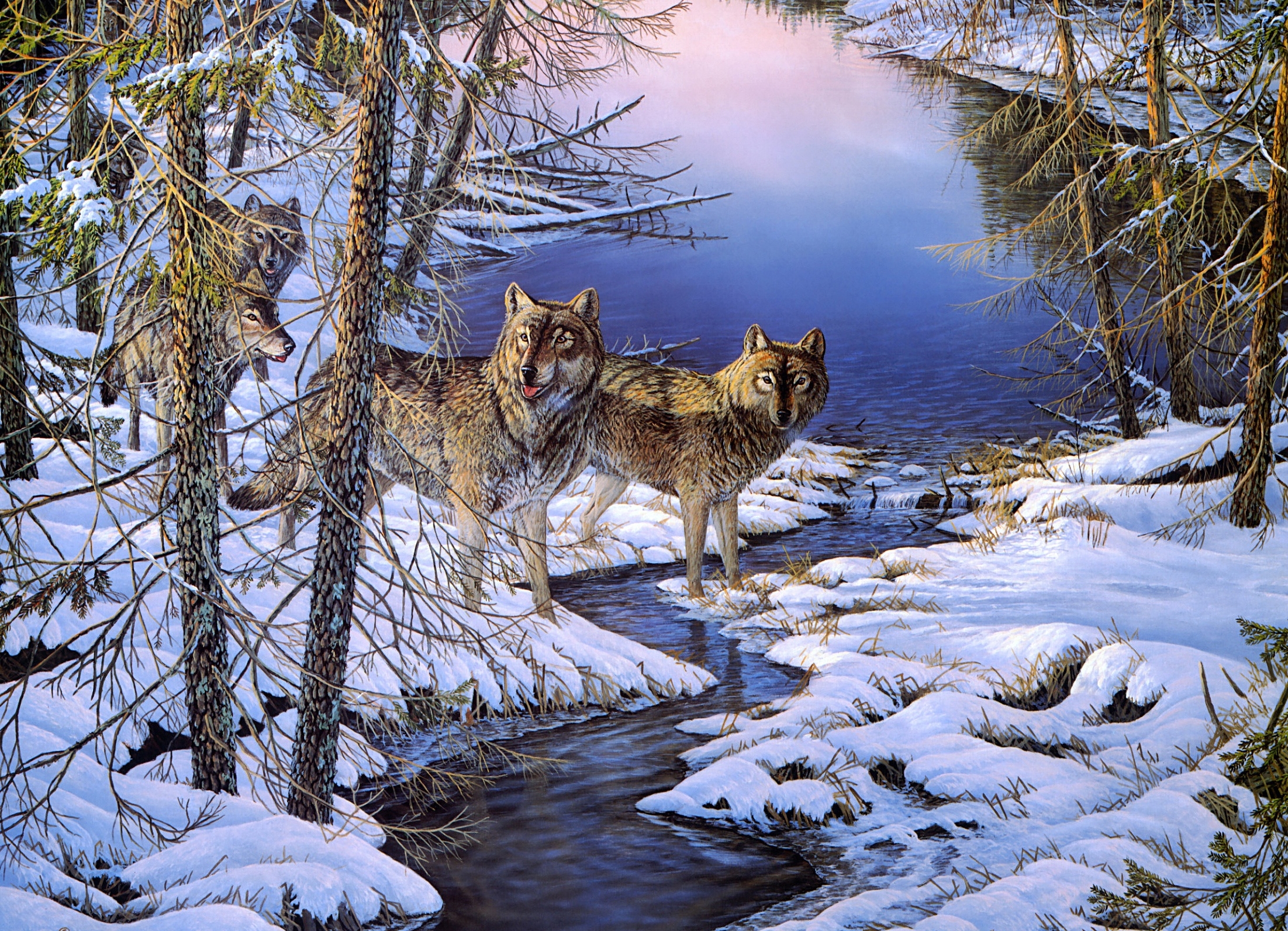 Download mobile wallpaper Winter, Nature, Snow, Wolf, Animal, Wolves for free.