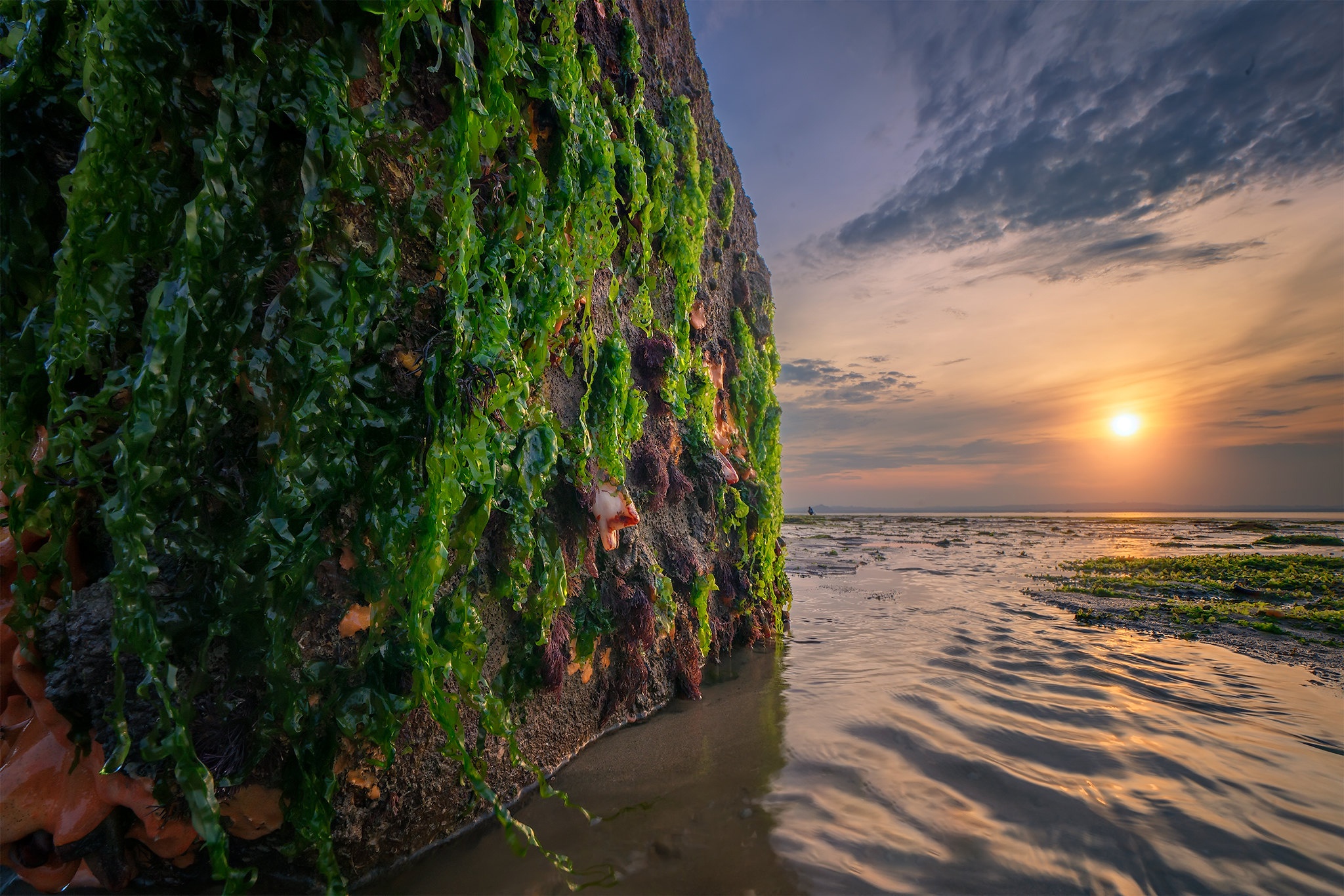 Handy-Wallpaper Stein, Meer, Sonnenuntergang, Erde/natur kostenlos herunterladen.