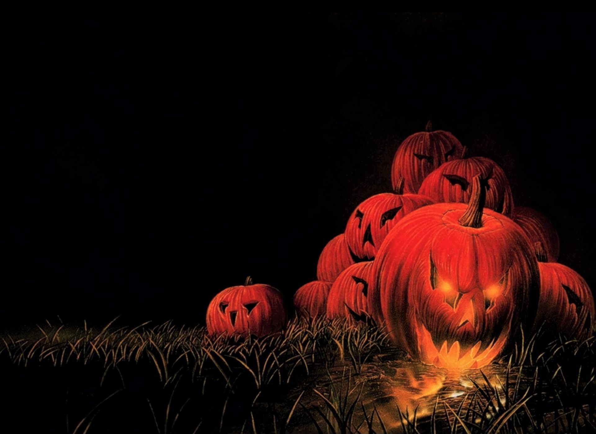 Laden Sie das Feiertage, Halloween, Ferien, Kürbislaterne-Bild kostenlos auf Ihren PC-Desktop herunter