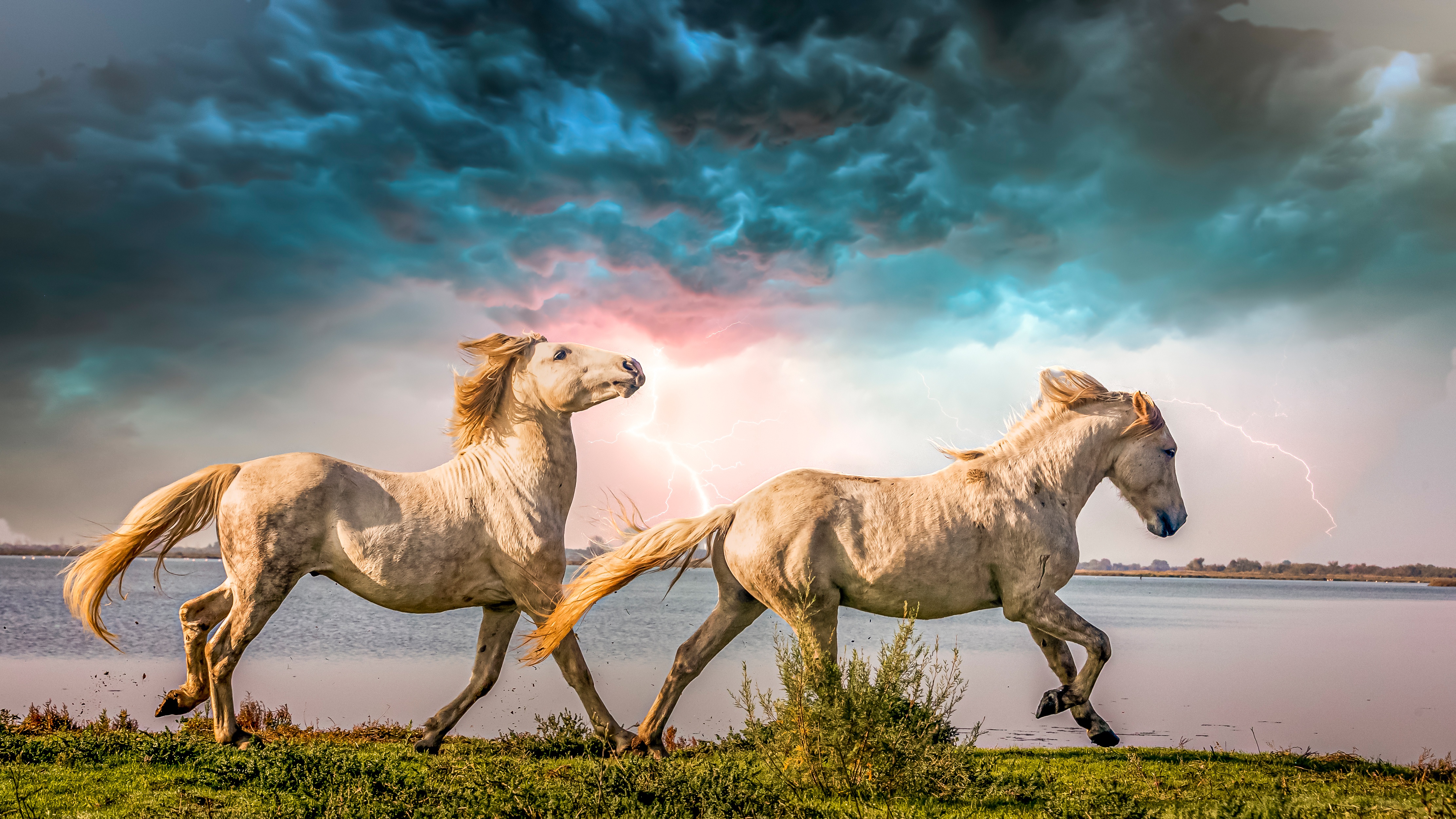 Free download wallpaper Lightning, Animal, Horse on your PC desktop