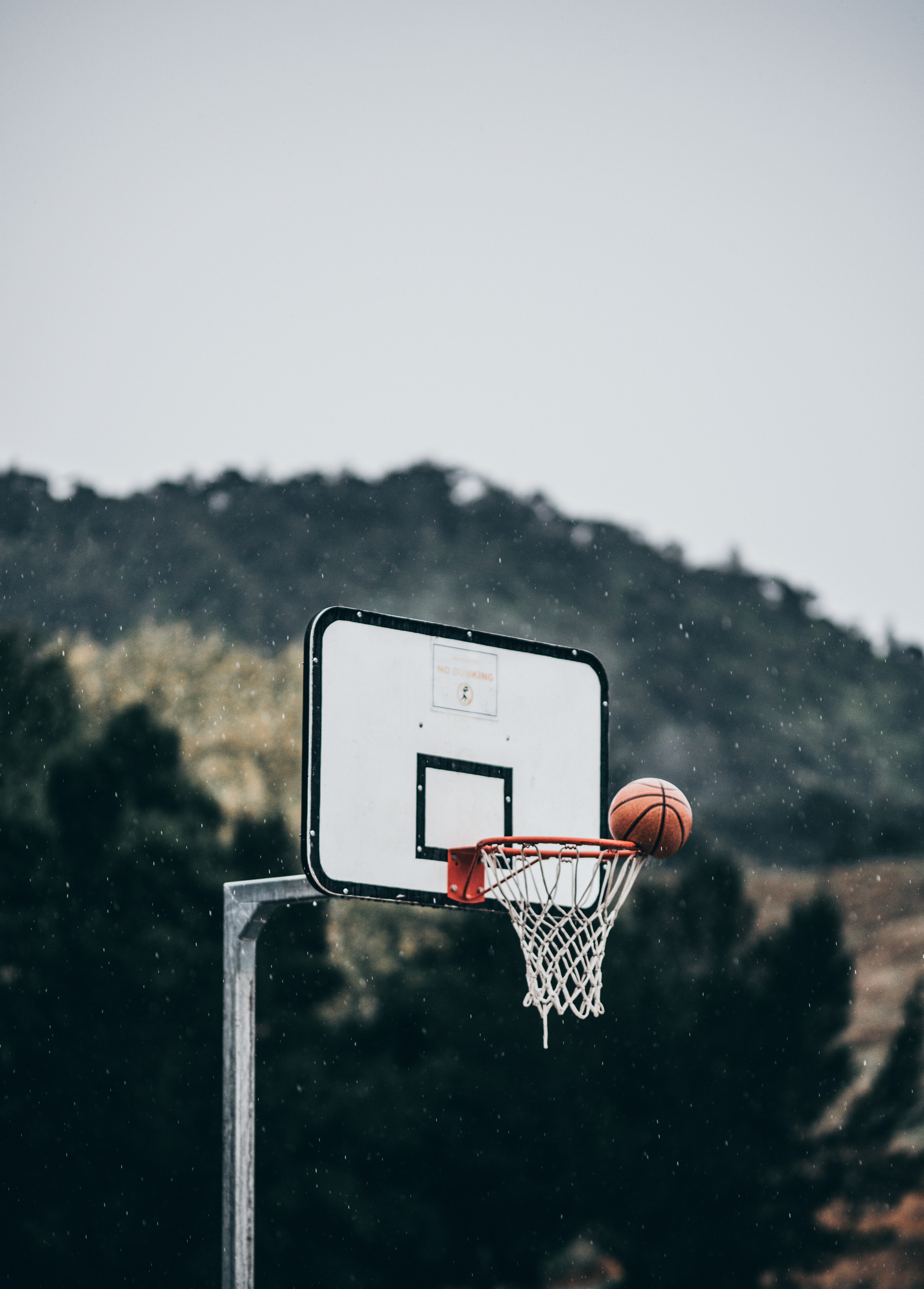 basketball, basketball hoop, basketball ring, sports, ball, throw