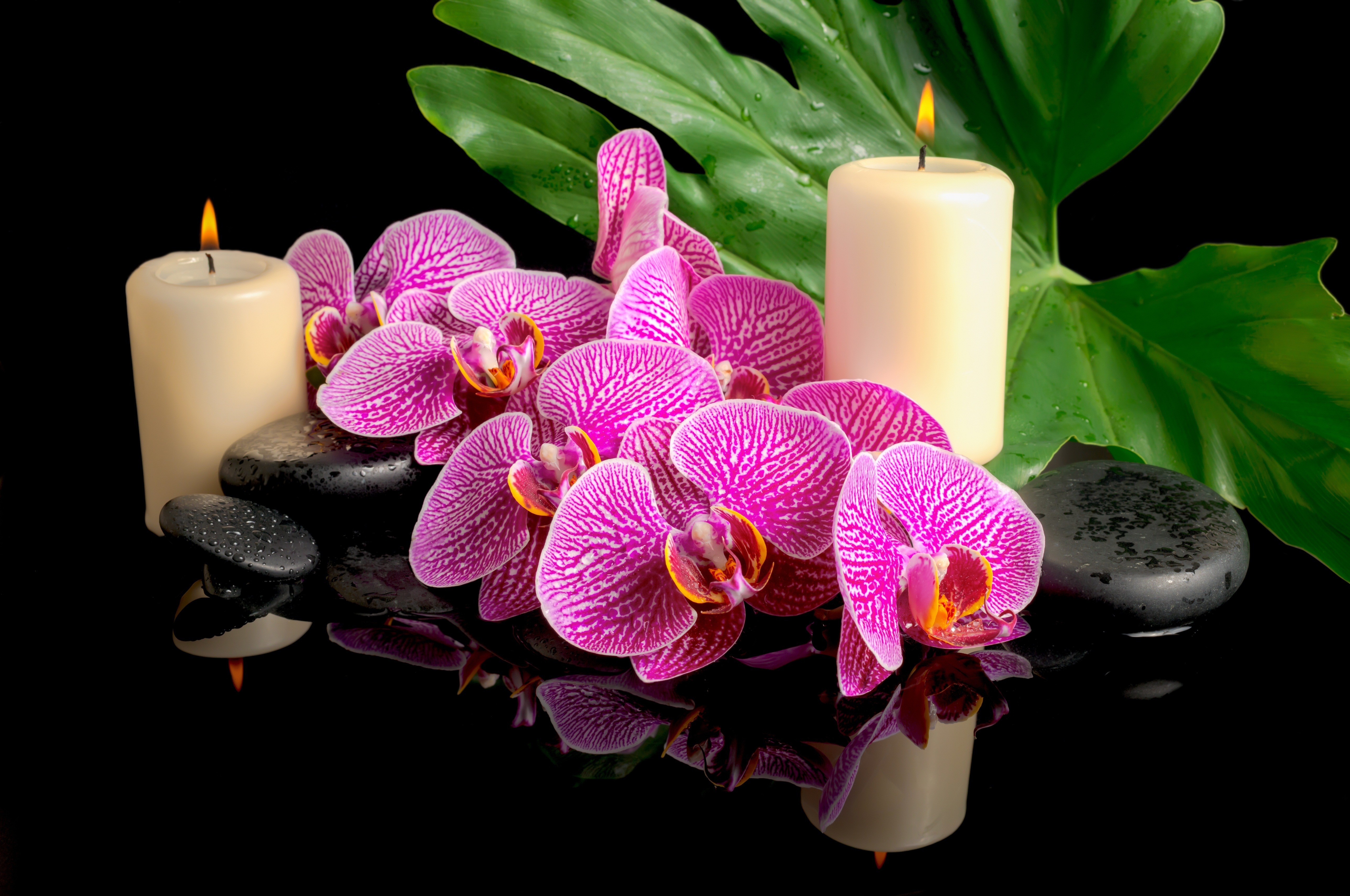 658432 завантажити картинку орхідея, релігійний, дзен, свічка, листок, світло - шпалери і заставки безкоштовно