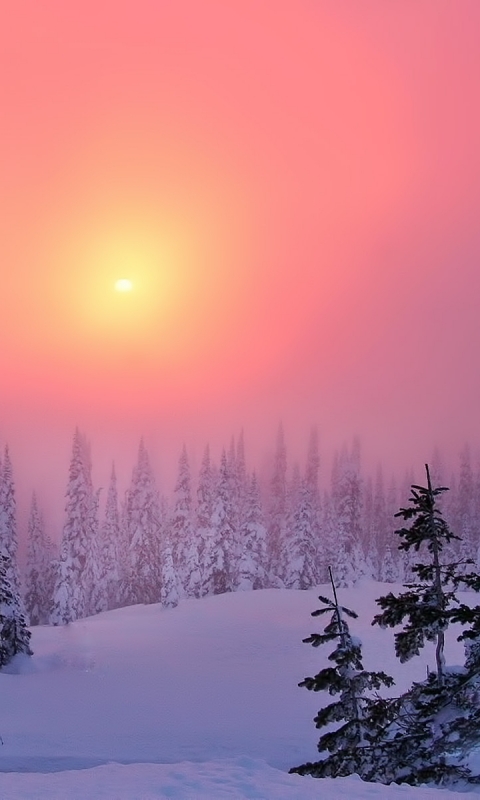 Download mobile wallpaper Winter, Earth for free.