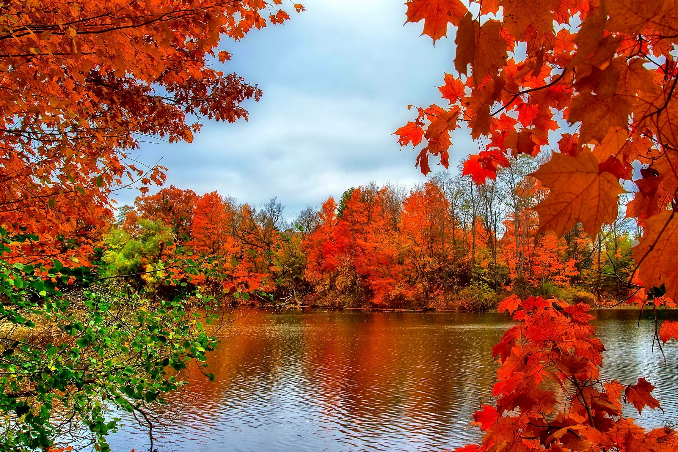 Download mobile wallpaper Tree, Fall, Earth, River for free.