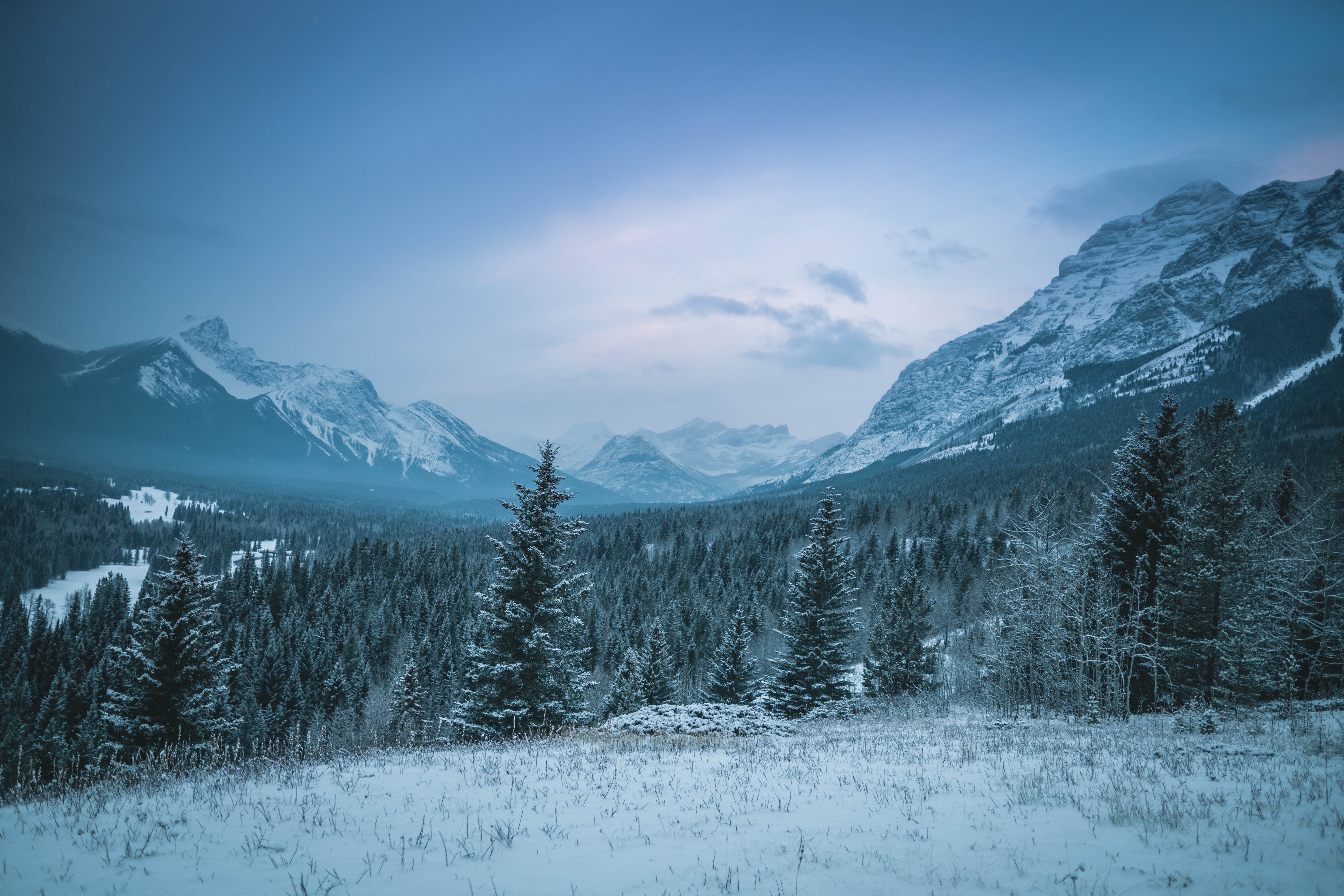 1005301 descargar fondo de pantalla tierra/naturaleza, invierno, canadá, bosque, montaña, nieve, abeto: protectores de pantalla e imágenes gratis