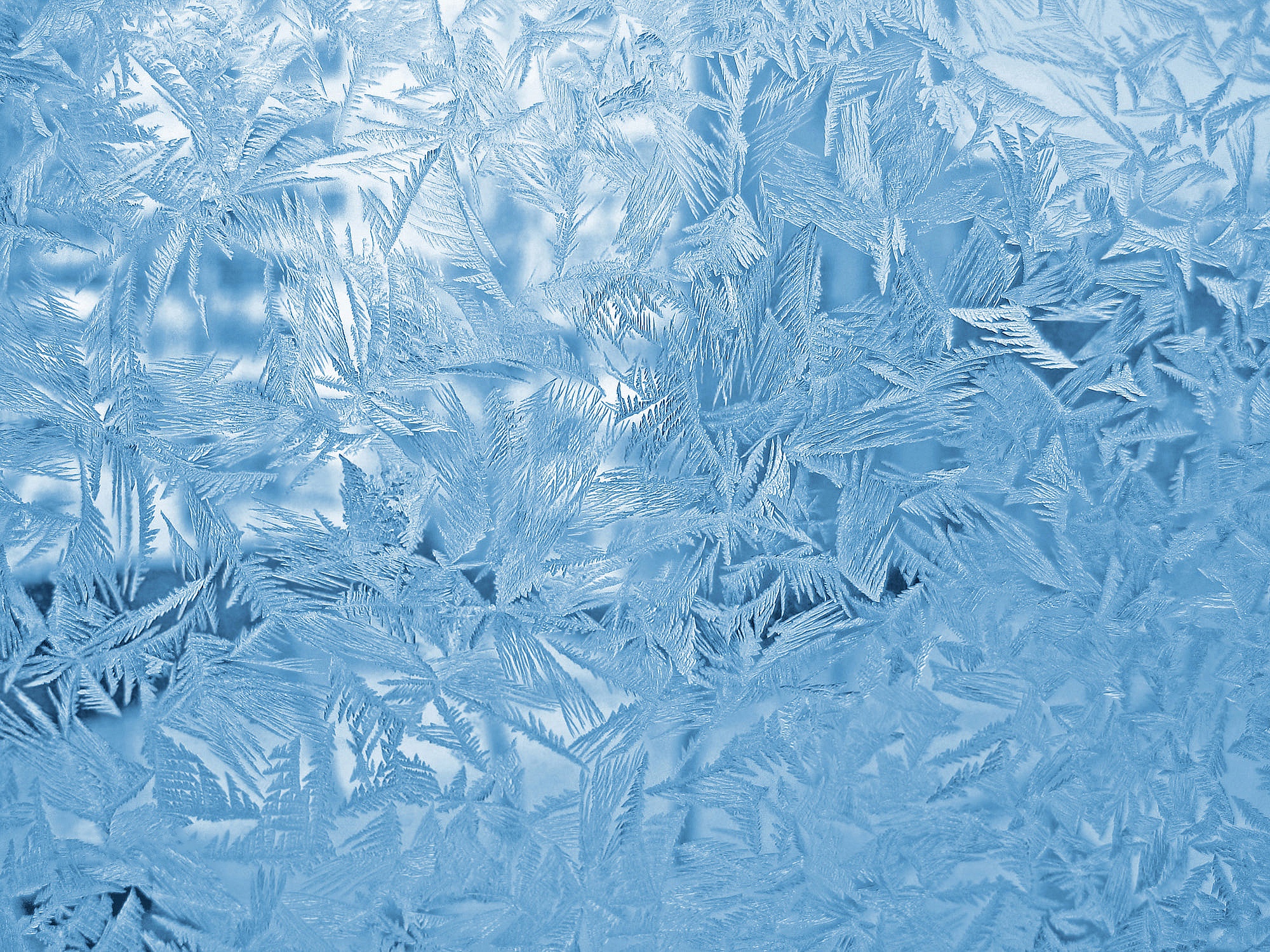 Laden Sie das Winter, Muster, Frost, Erde/natur-Bild kostenlos auf Ihren PC-Desktop herunter
