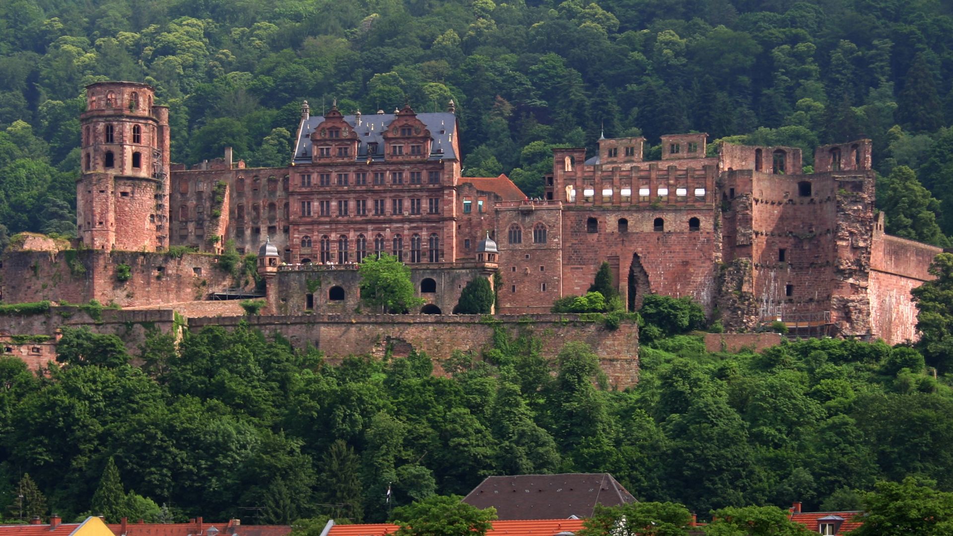 355241 descargar imagen hecho por el hombre, castillo de heidelberg, castillos: fondos de pantalla y protectores de pantalla gratis