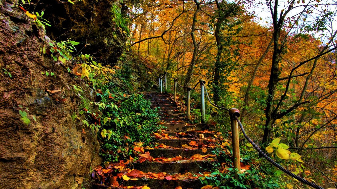 Download mobile wallpaper Nature, Forest, Leaf, Stairs, Man Made for free.