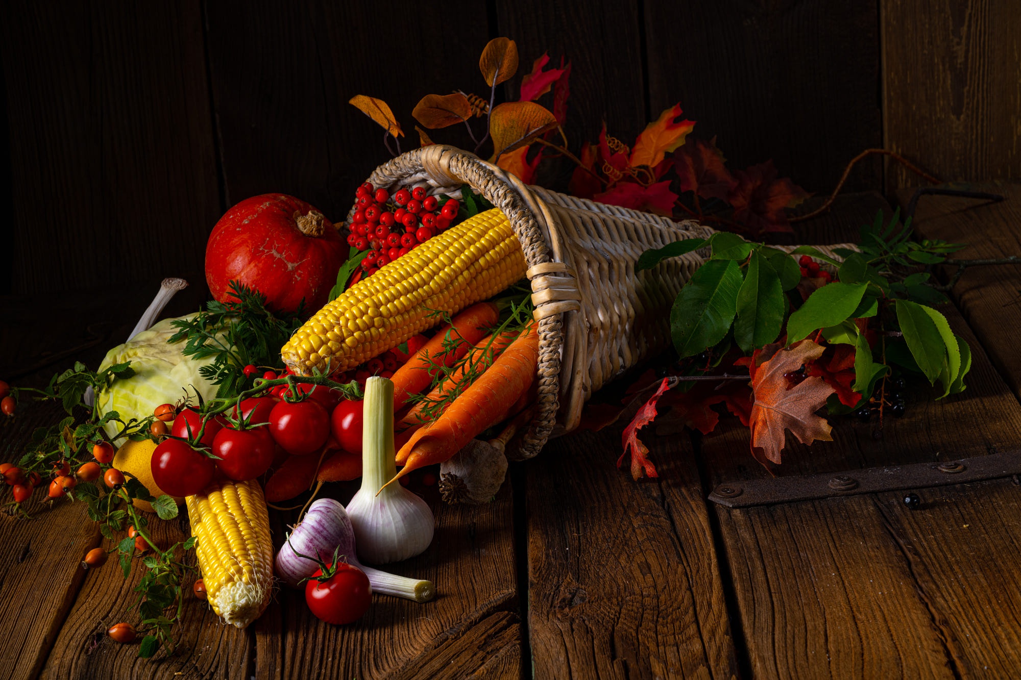 Free download wallpaper Still Life, Photography, Corn, Tomato on your PC desktop