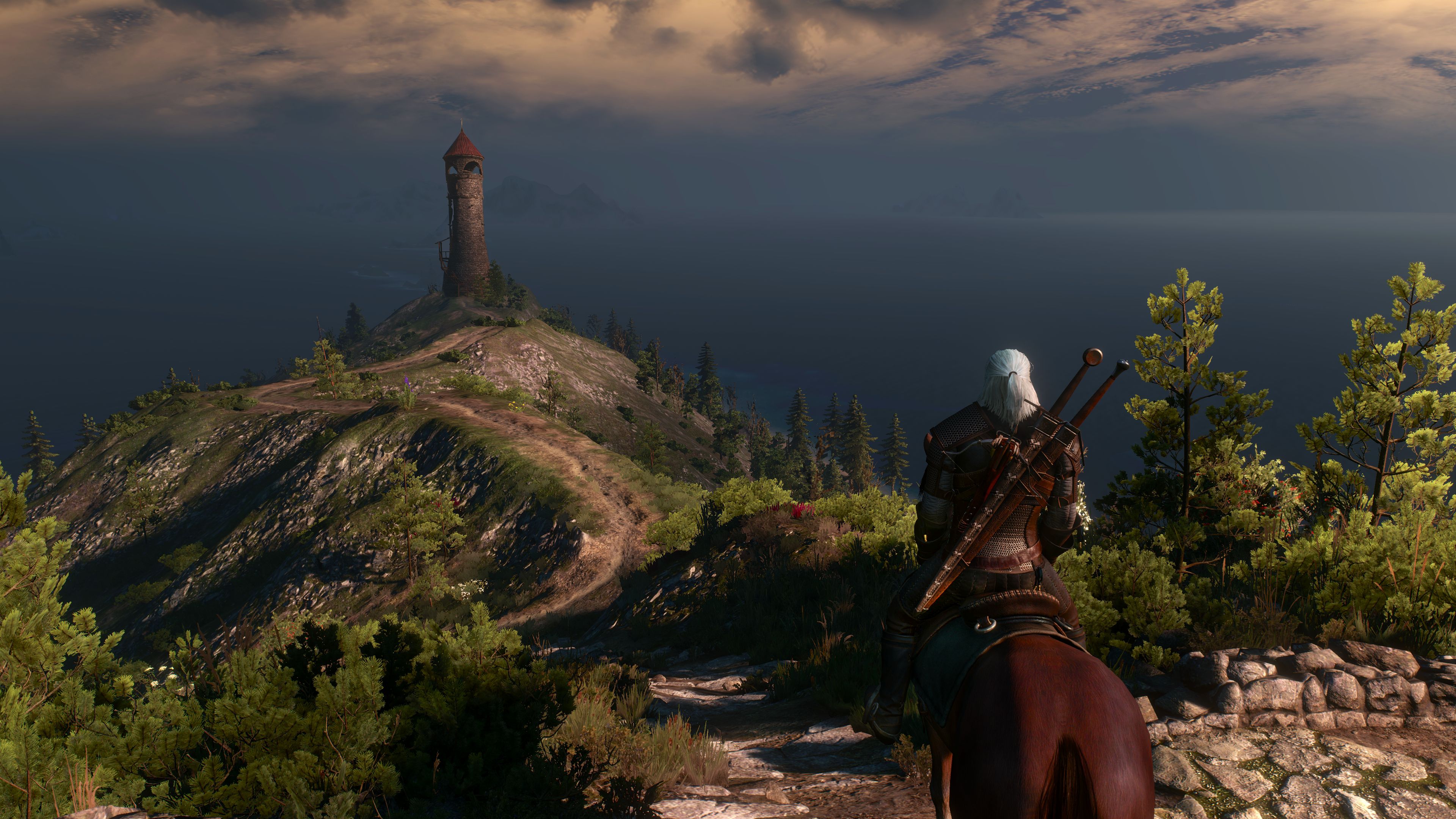 the witcher 3: wild hunt, the witcher, video game
