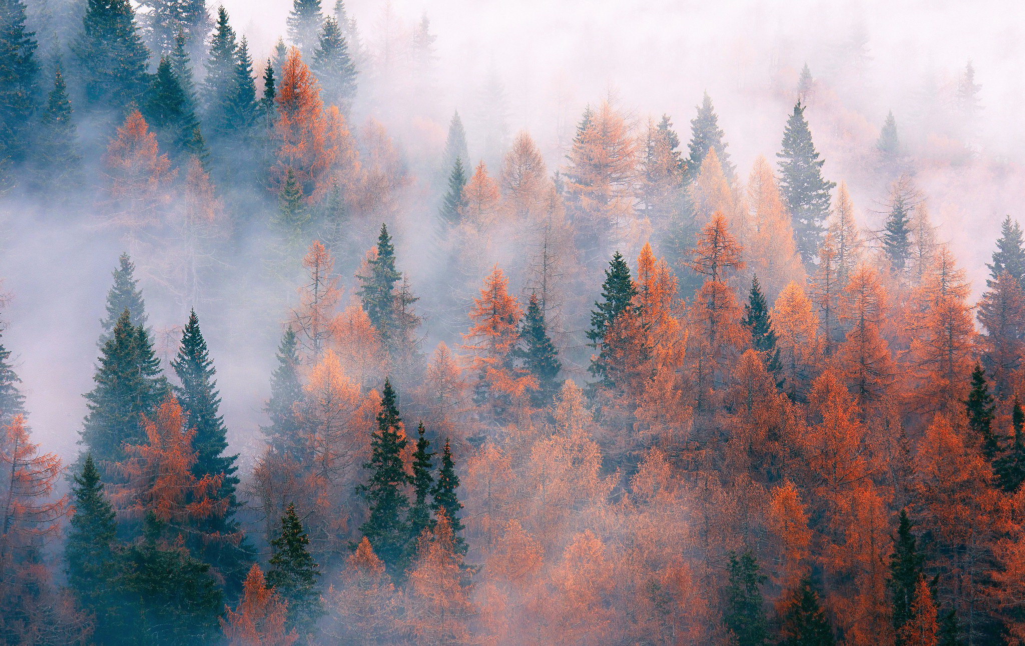 Handy-Wallpaper Herbst, Erde/natur kostenlos herunterladen.