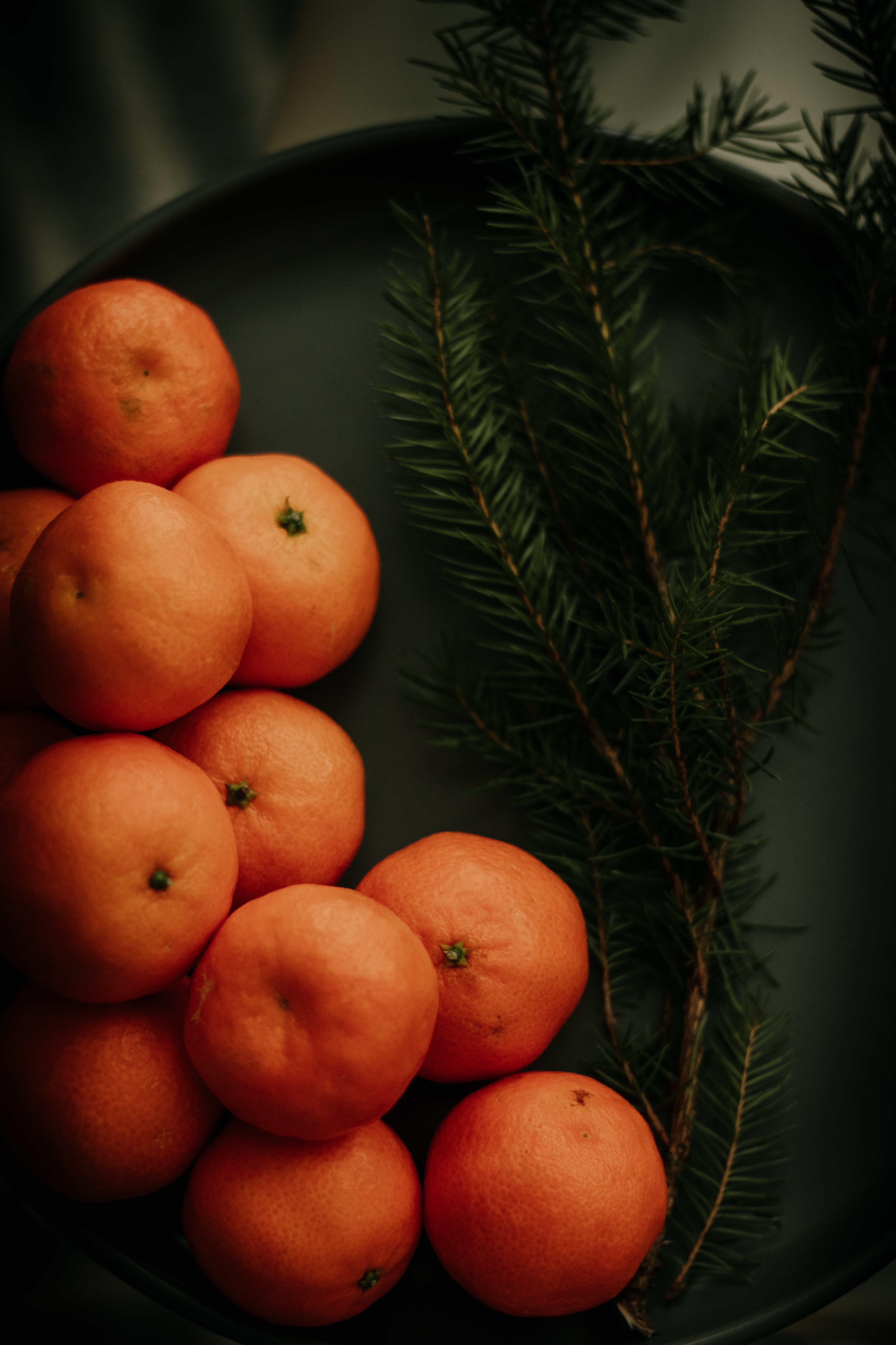 Download mobile wallpaper Spruce, Fir, Branch, Tangerines, Food, Citrus, Fruits for free.
