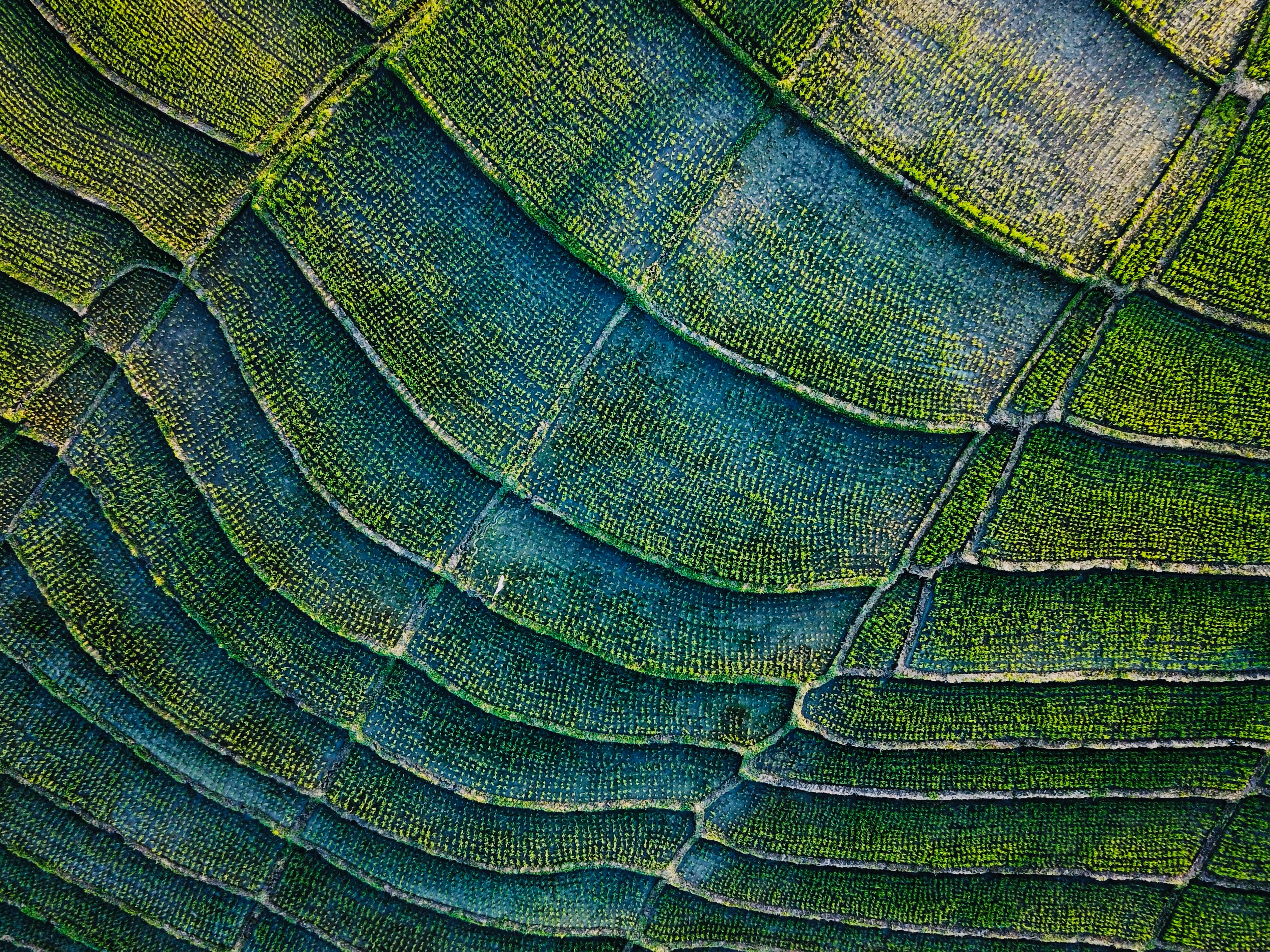 Free download wallpaper Nature, View From Above, Stripes, Field, Streaks, Plants on your PC desktop
