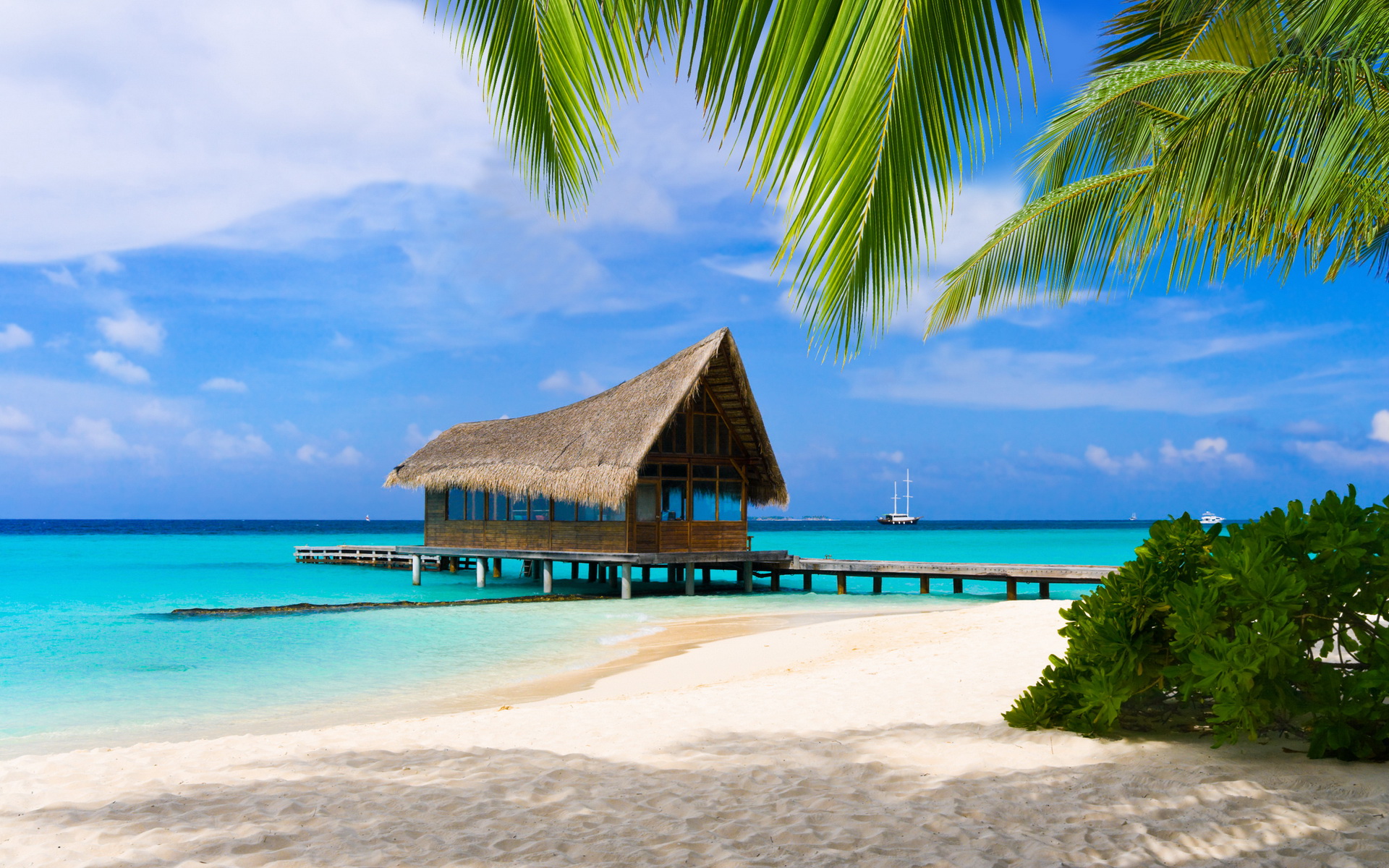 Free download wallpaper Tropical, Photography on your PC desktop