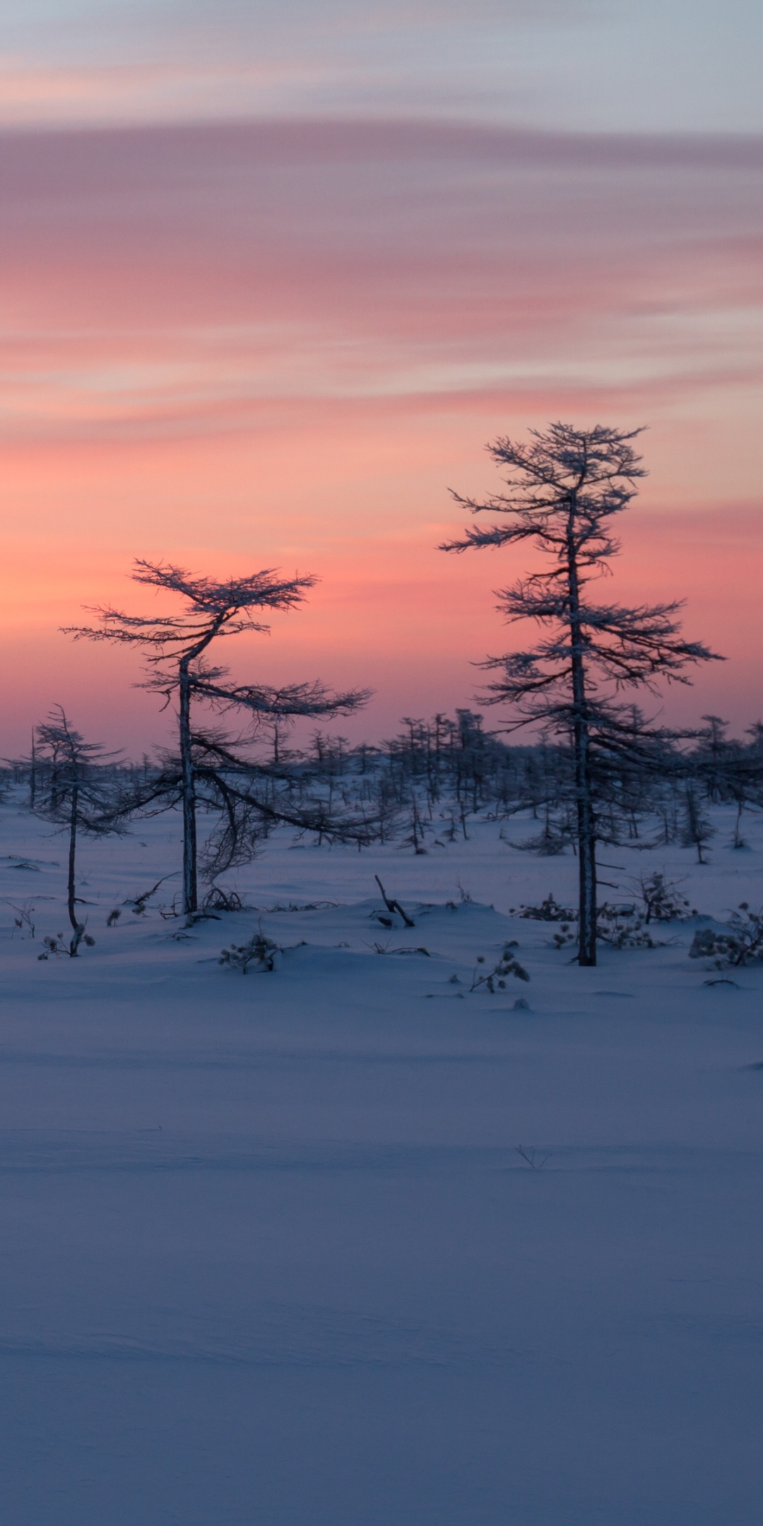 Descarga gratuita de fondo de pantalla para móvil de Paisaje, Invierno, Naturaleza, Cielo, Nieve, Atardecer, Tierra/naturaleza, Puesta De Sol.