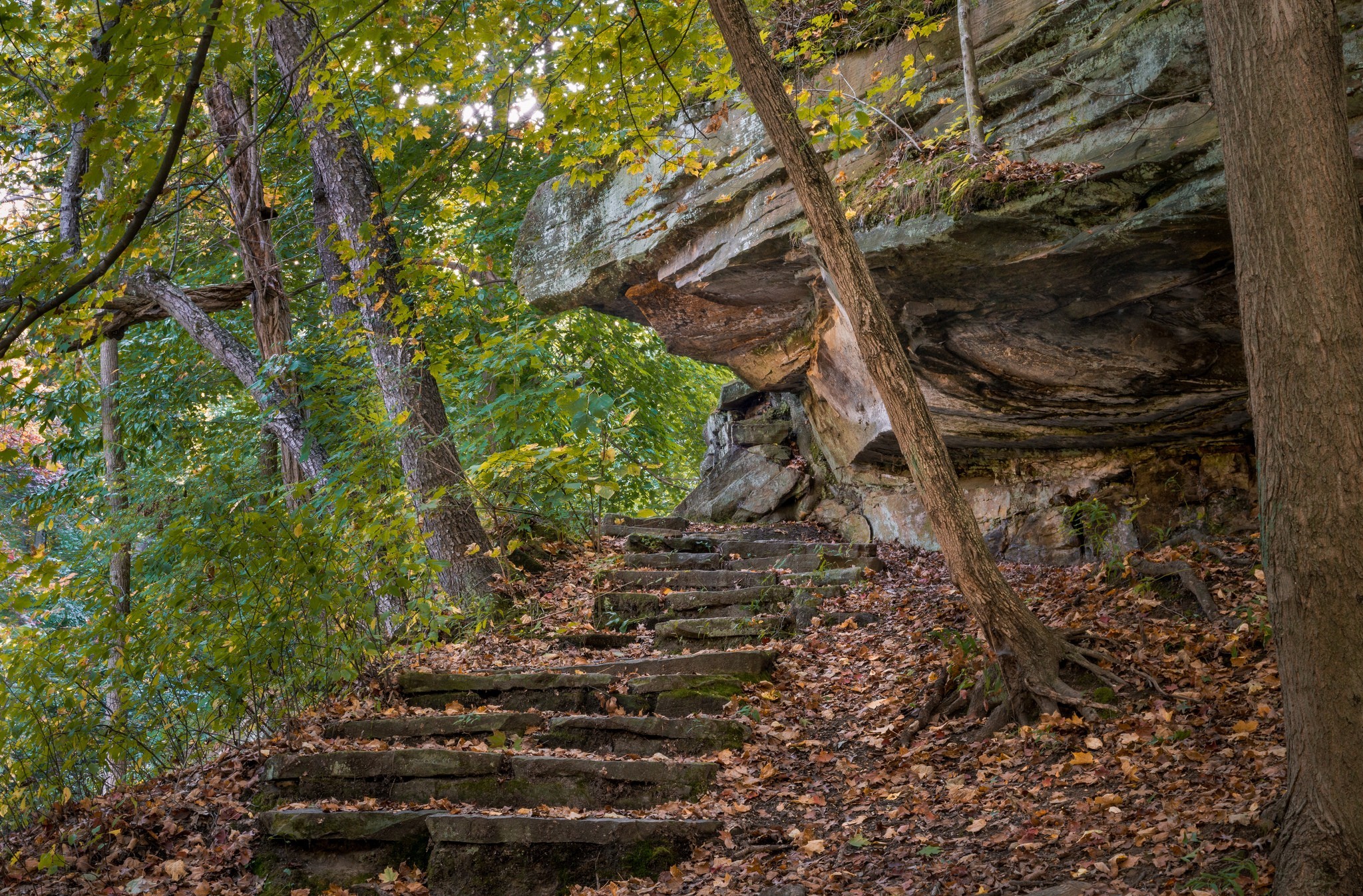 Free download wallpaper Wood, Stairs, Man Made on your PC desktop