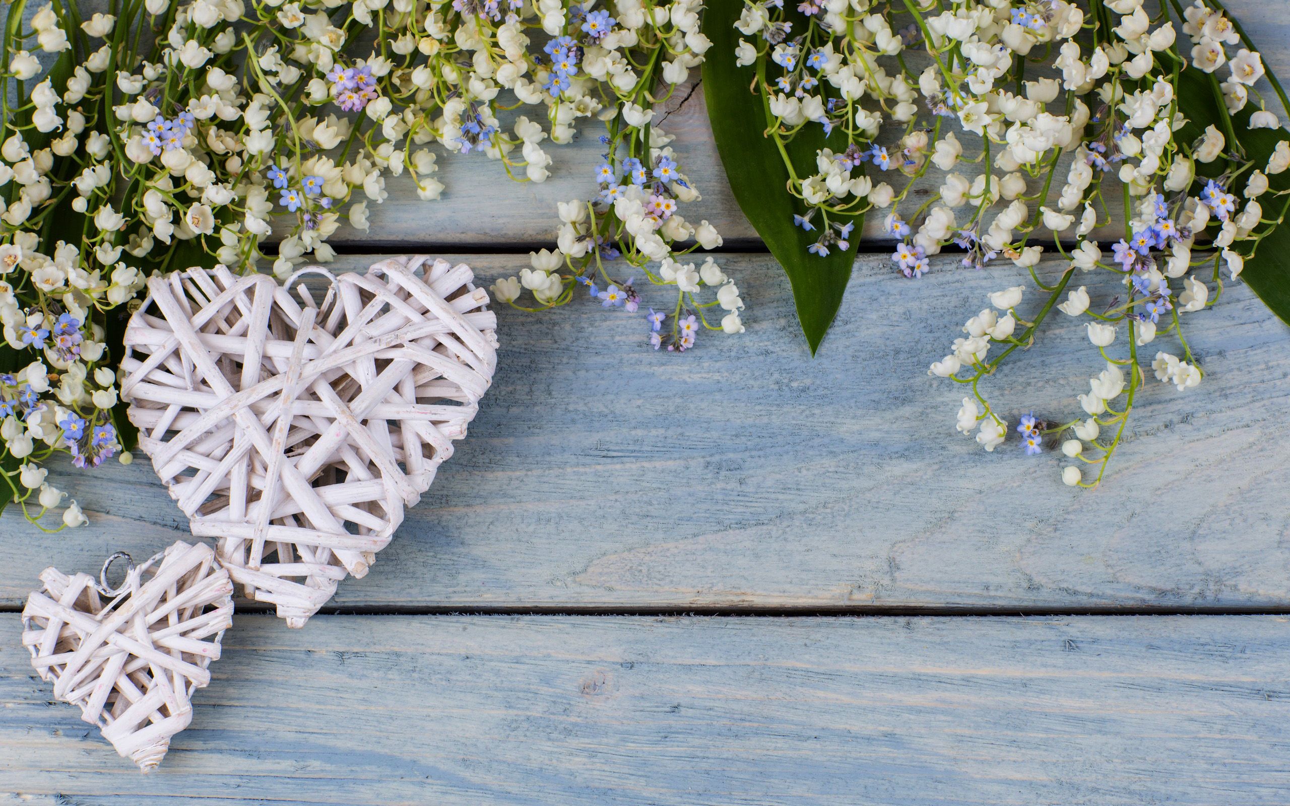 無料モバイル壁紙バレンタイン・デー, 白い花, ホリデーをダウンロードします。