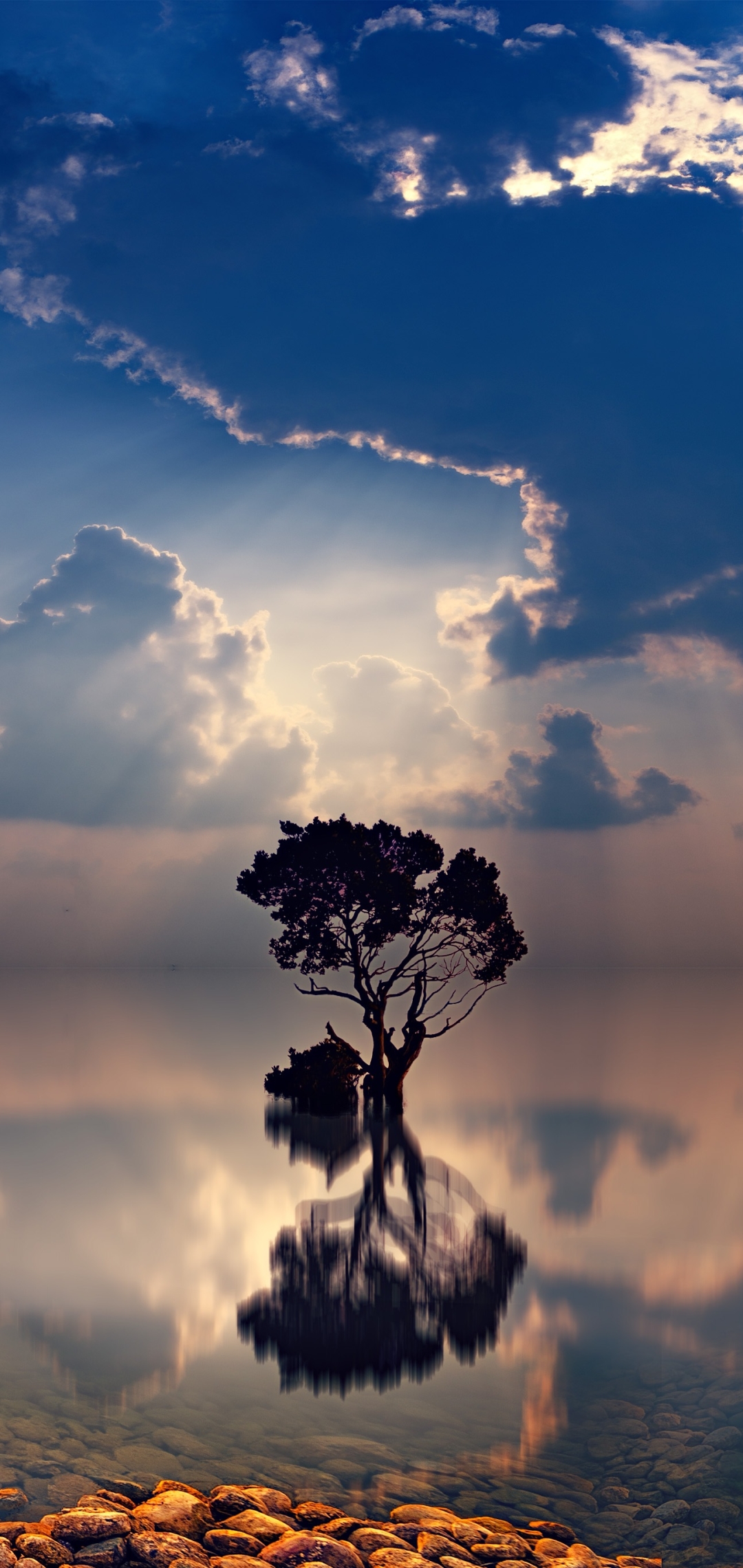 Download mobile wallpaper Nature, Trees, Twilight, Reflection, Tree, Ocean, Earth, Cloud, Sunbeam, Lonely Tree, Sunbean for free.