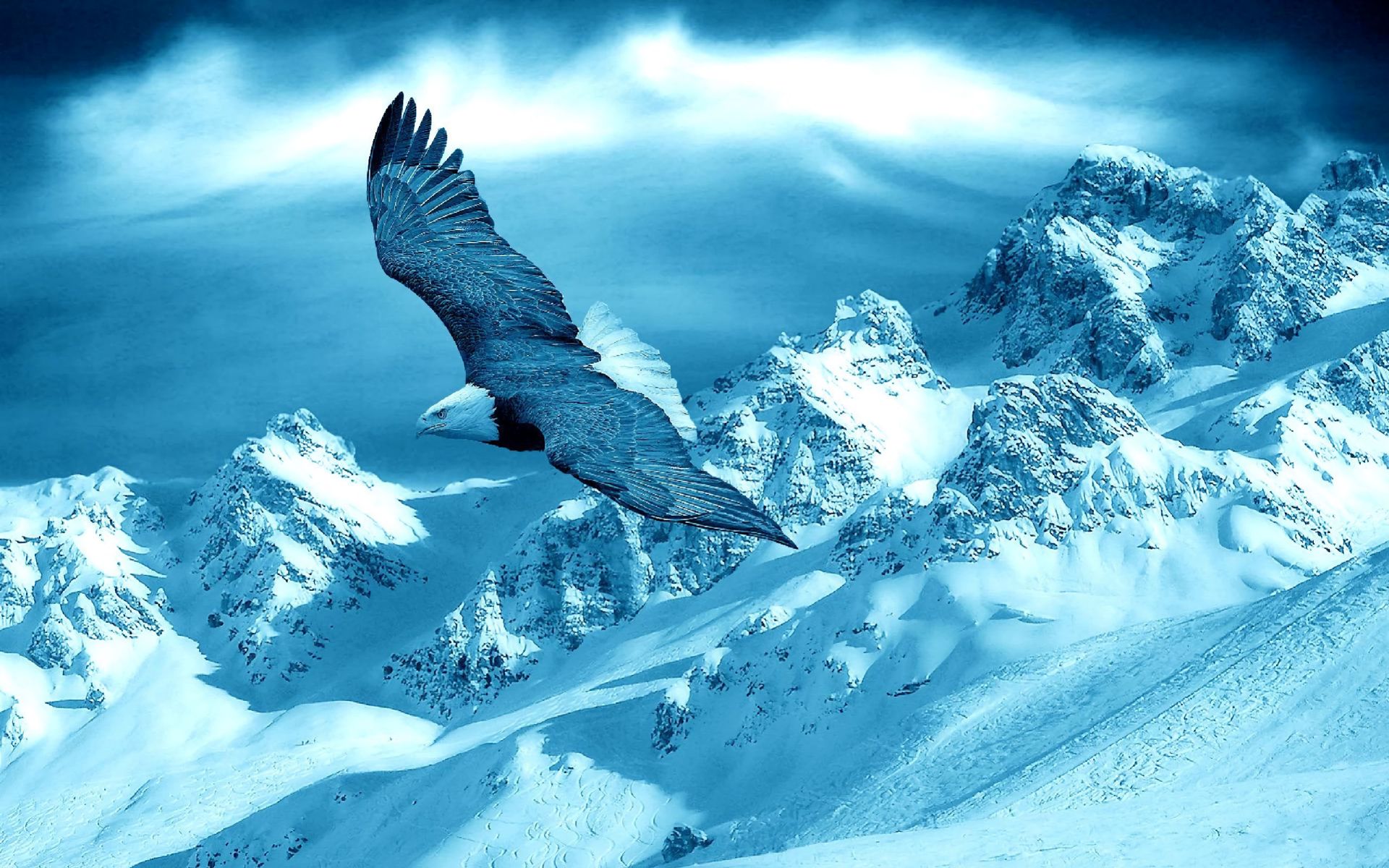 Download mobile wallpaper Landscape, Winter, Birds, Snow, Mountain, Bird, Animal, Eagle, Flying for free.