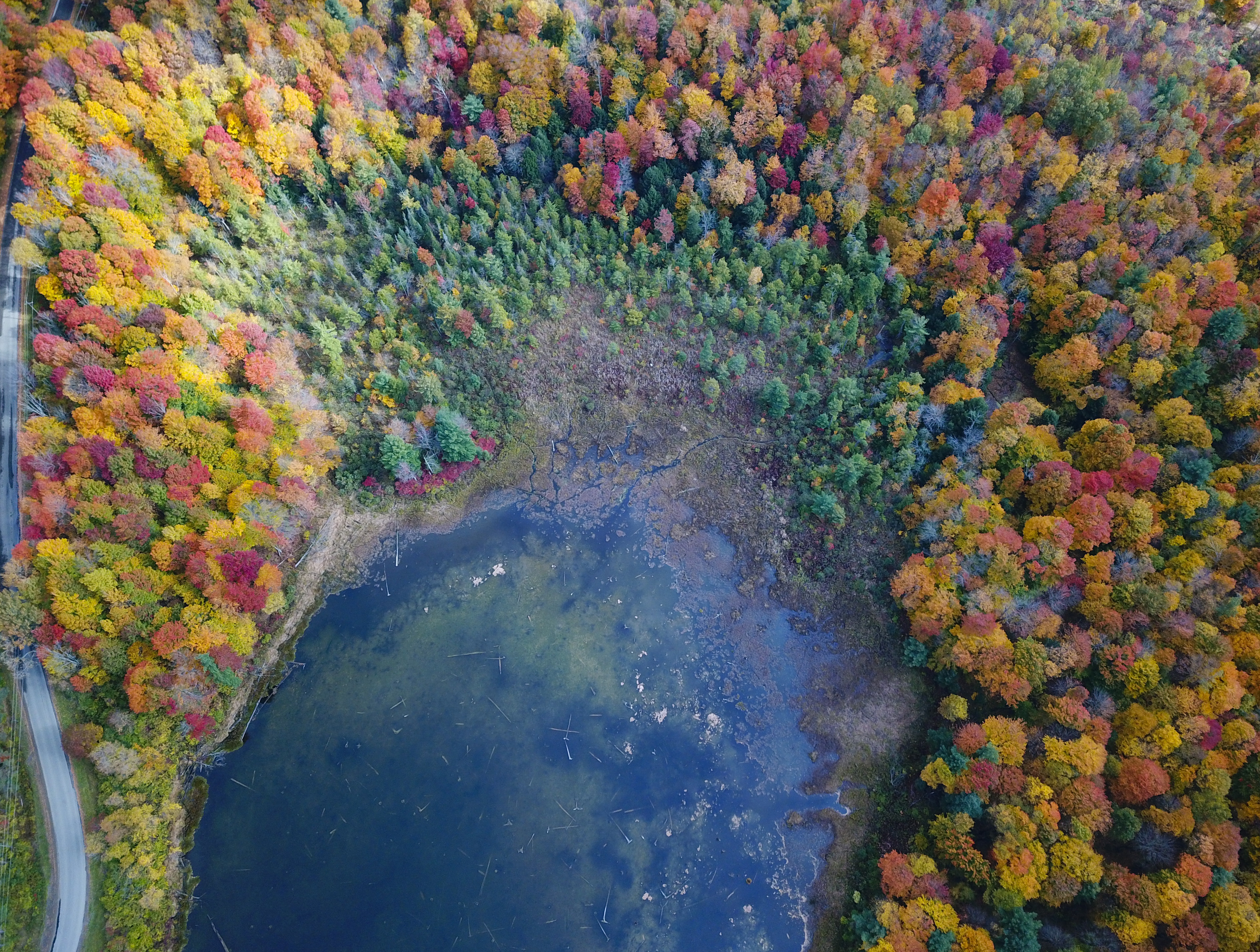 Free download wallpaper Trees, View From Above, Lake, Nature, Forest on your PC desktop