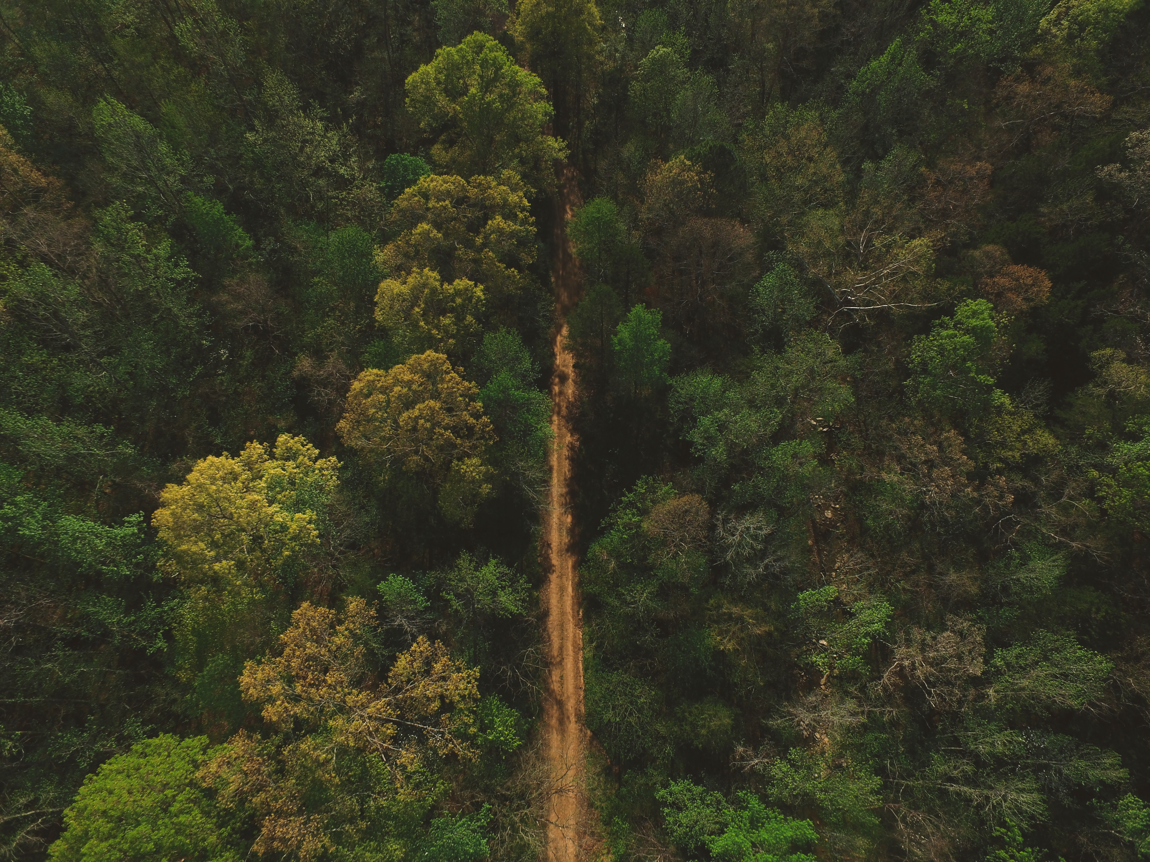 Download mobile wallpaper Trees, Road, Nature, View From Above for free.