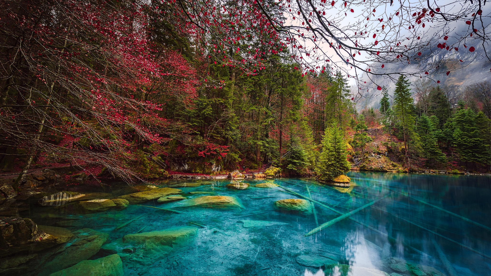 Laden Sie das Herbst, Seen, See, Baum, Teich, Erde/natur-Bild kostenlos auf Ihren PC-Desktop herunter