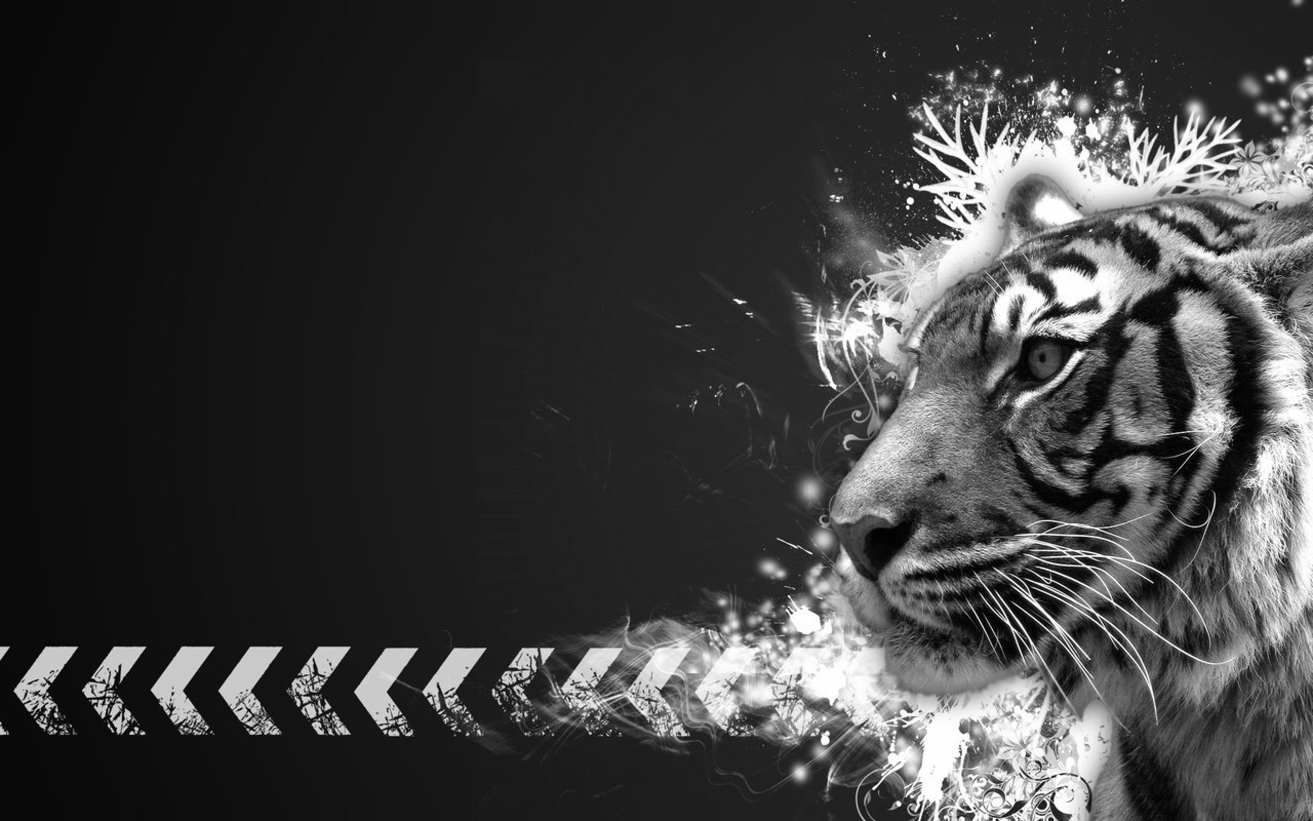 Baixar papel de parede para celular de Gatos, Animais, Tigre gratuito.