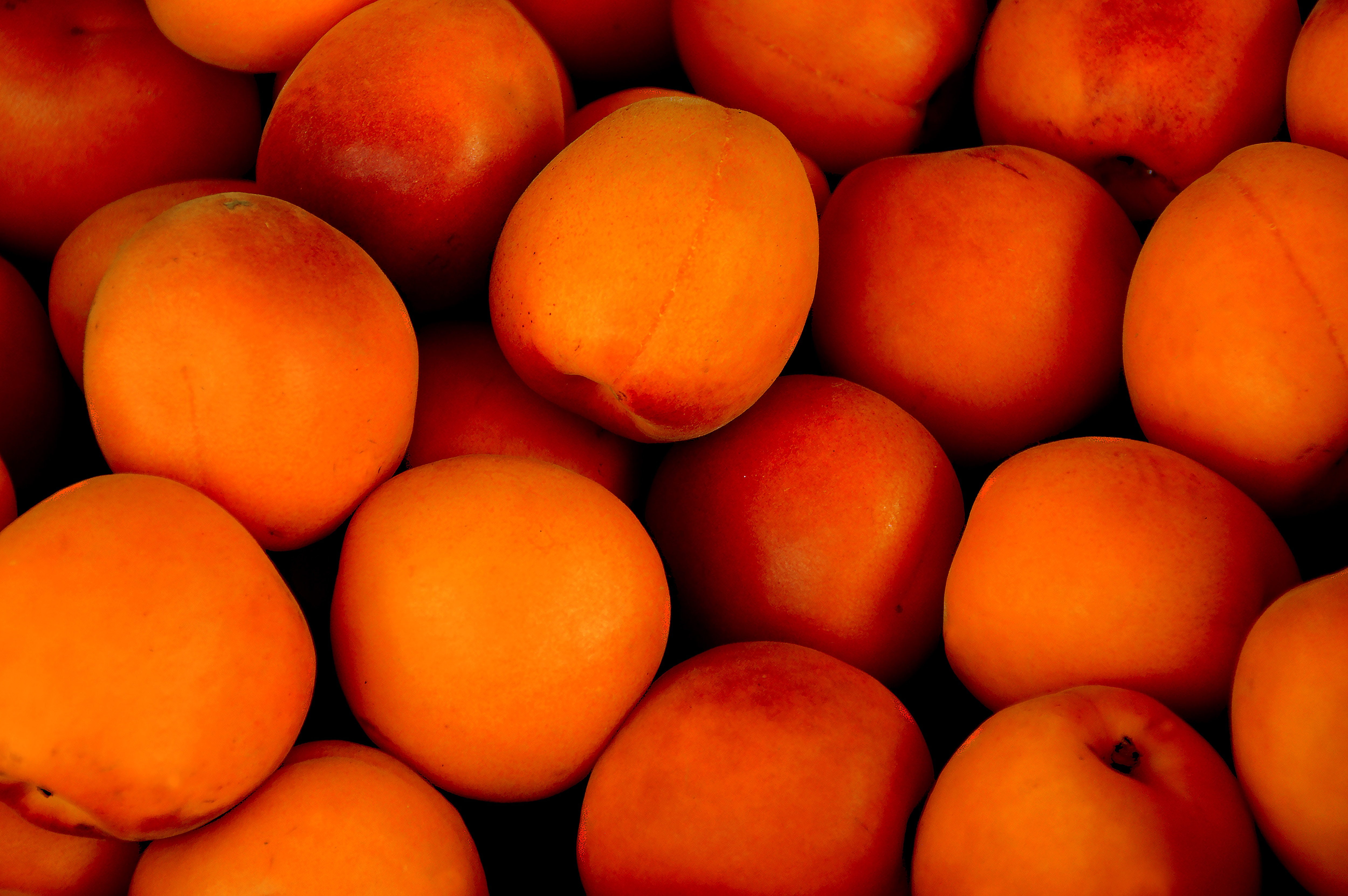 fruits, food, ripe, apricots