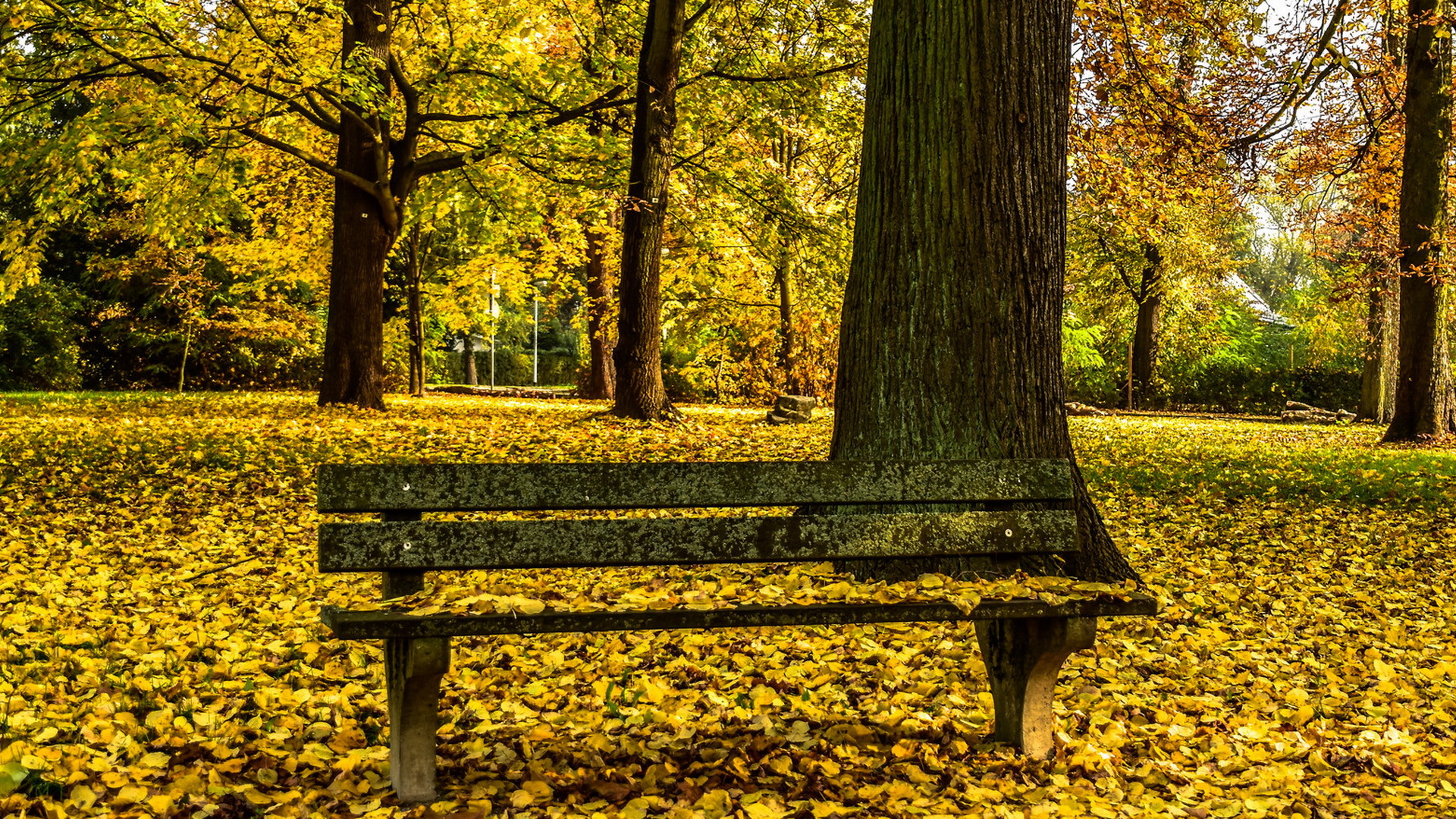 Free download wallpaper Park, Leaf, Fall, Bench, Photography on your PC desktop