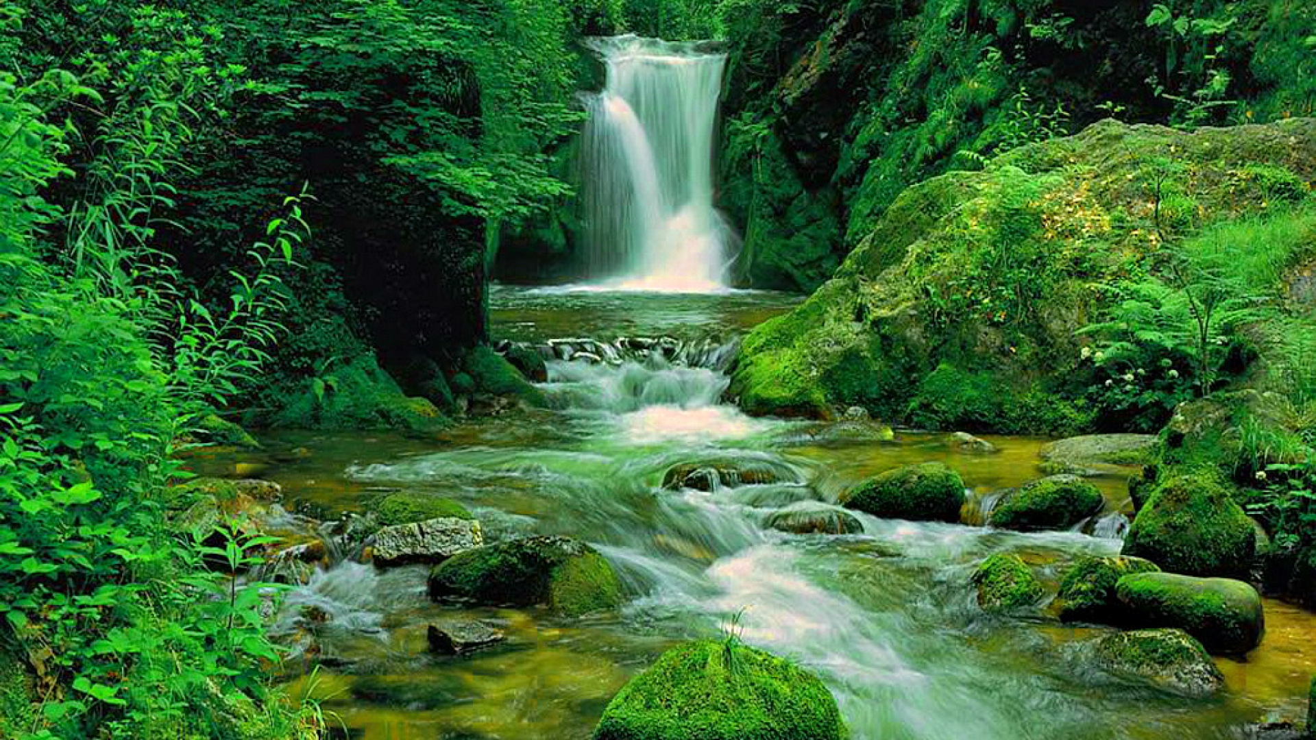 無料モバイル壁紙滝, 森, 自然, 地球をダウンロードします。