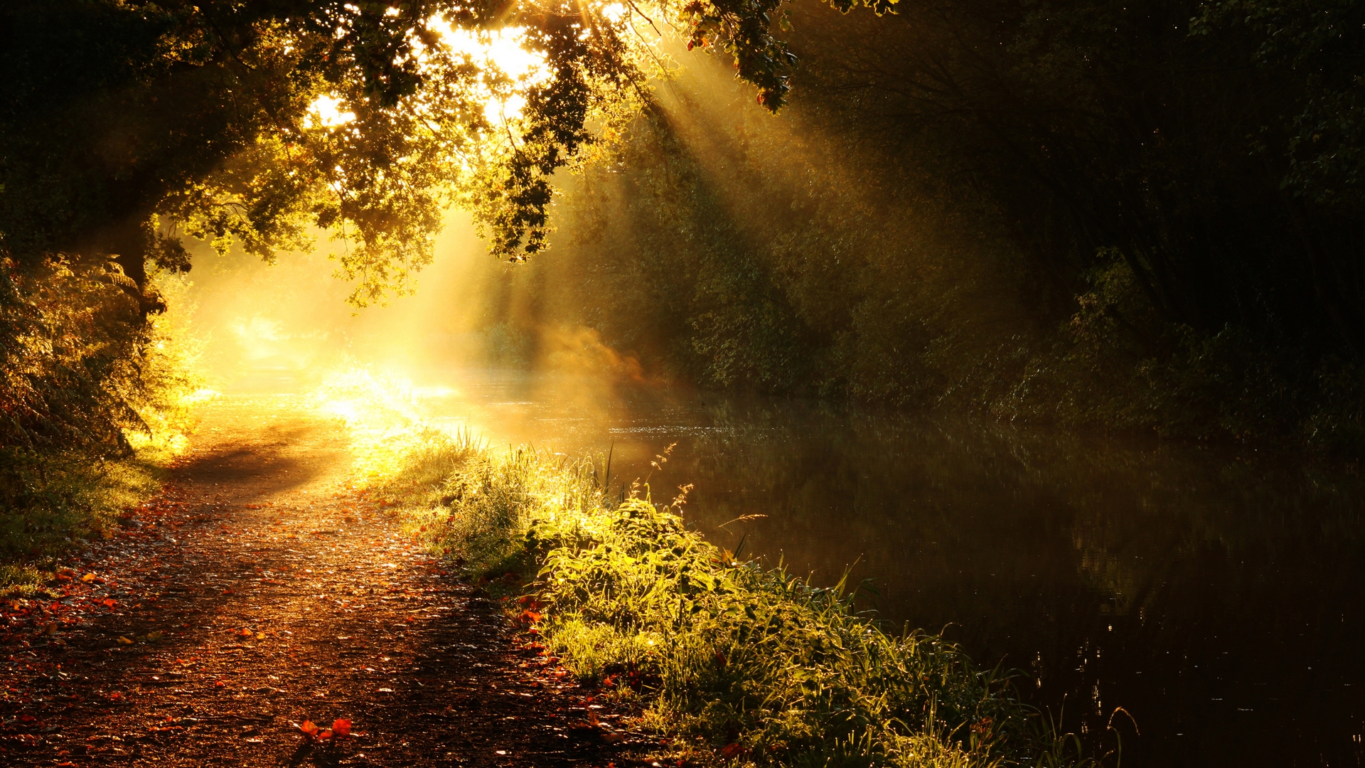 Laden Sie das Sonnenstrahl, Erde/natur-Bild kostenlos auf Ihren PC-Desktop herunter