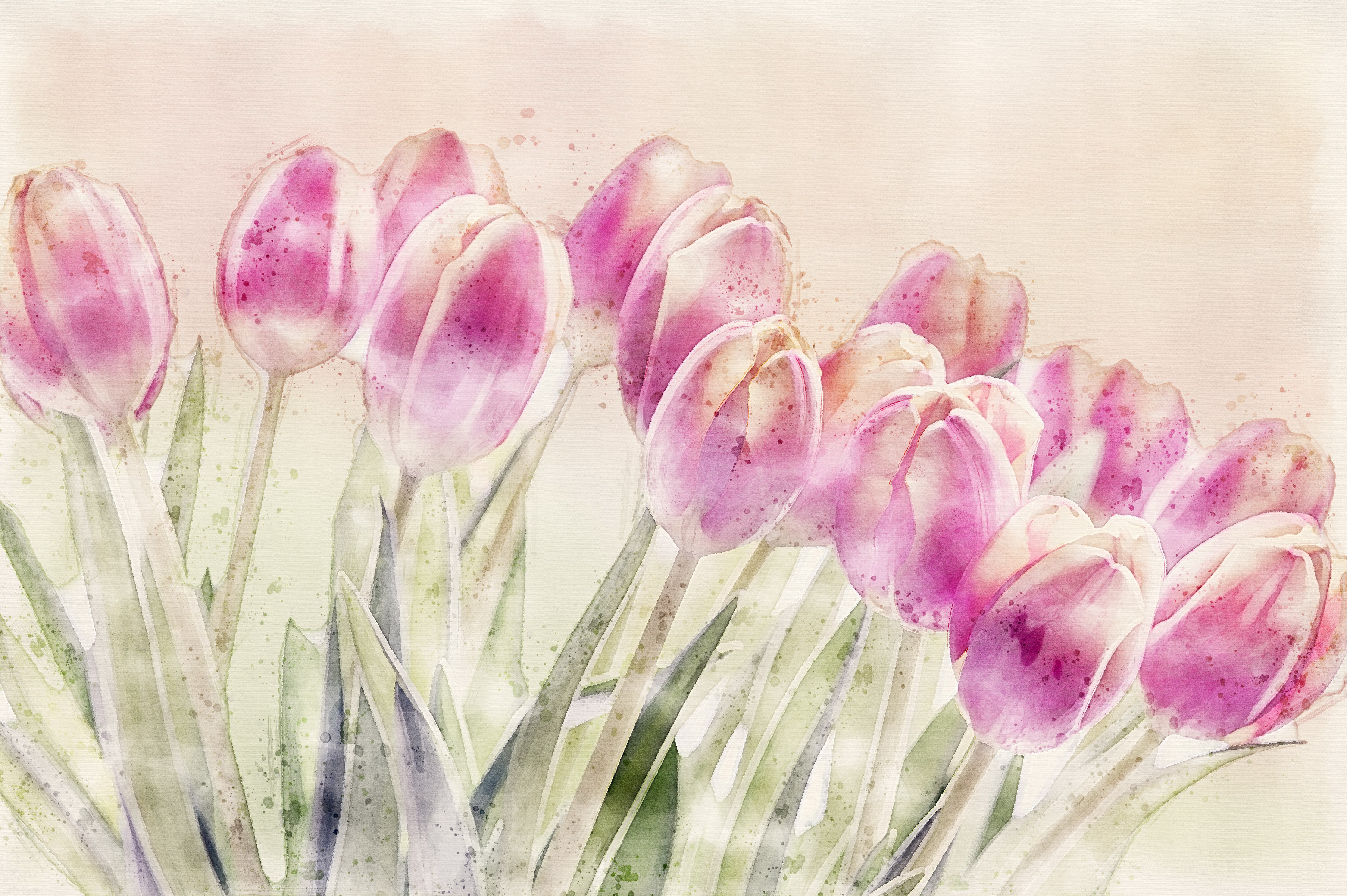 Free download wallpaper Flowers, Flower, Artistic, Tulip on your PC desktop