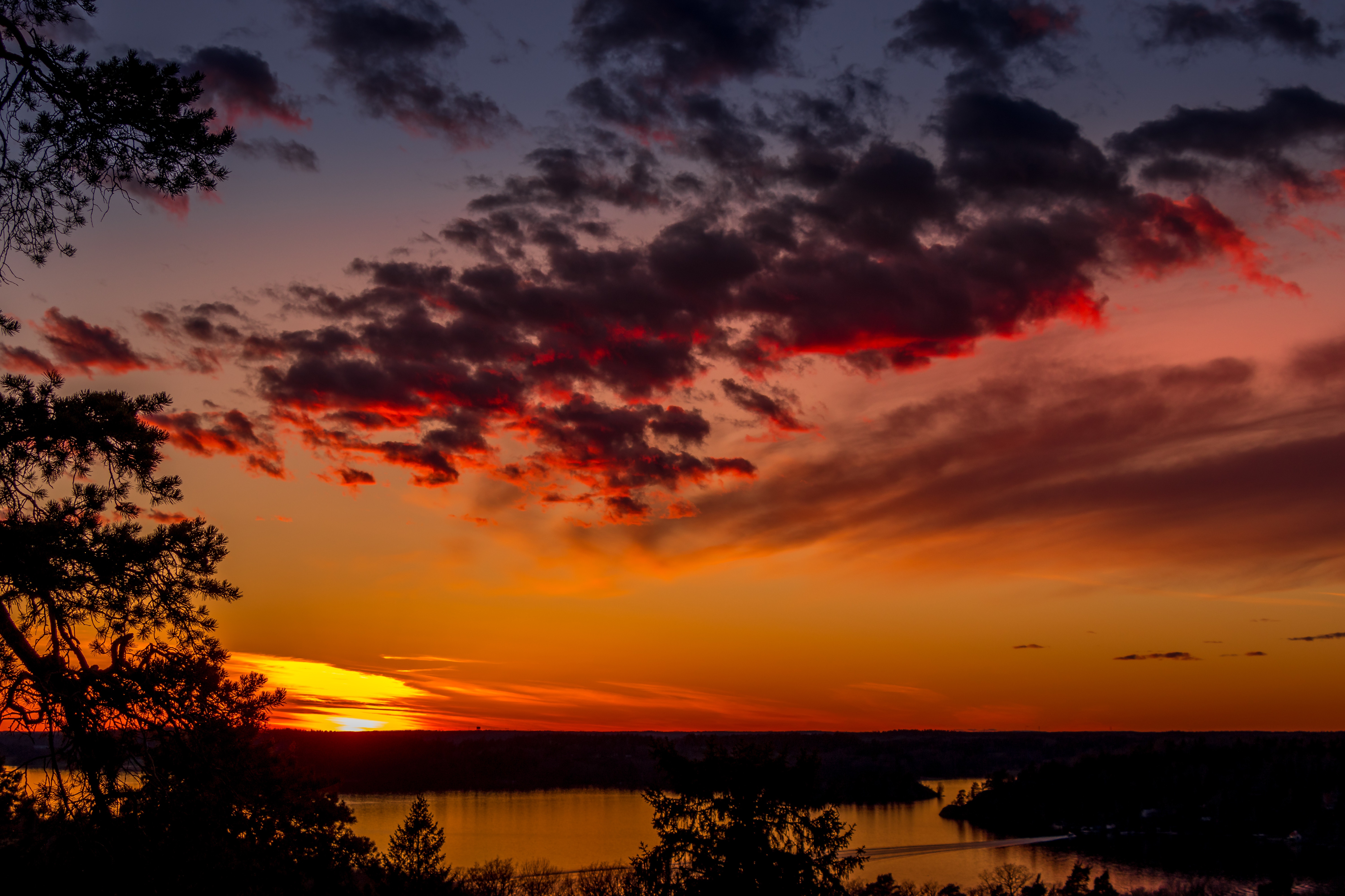 Laden Sie das Natur, Bäume, Sunset, Sky, Clouds, See, Abend-Bild kostenlos auf Ihren PC-Desktop herunter