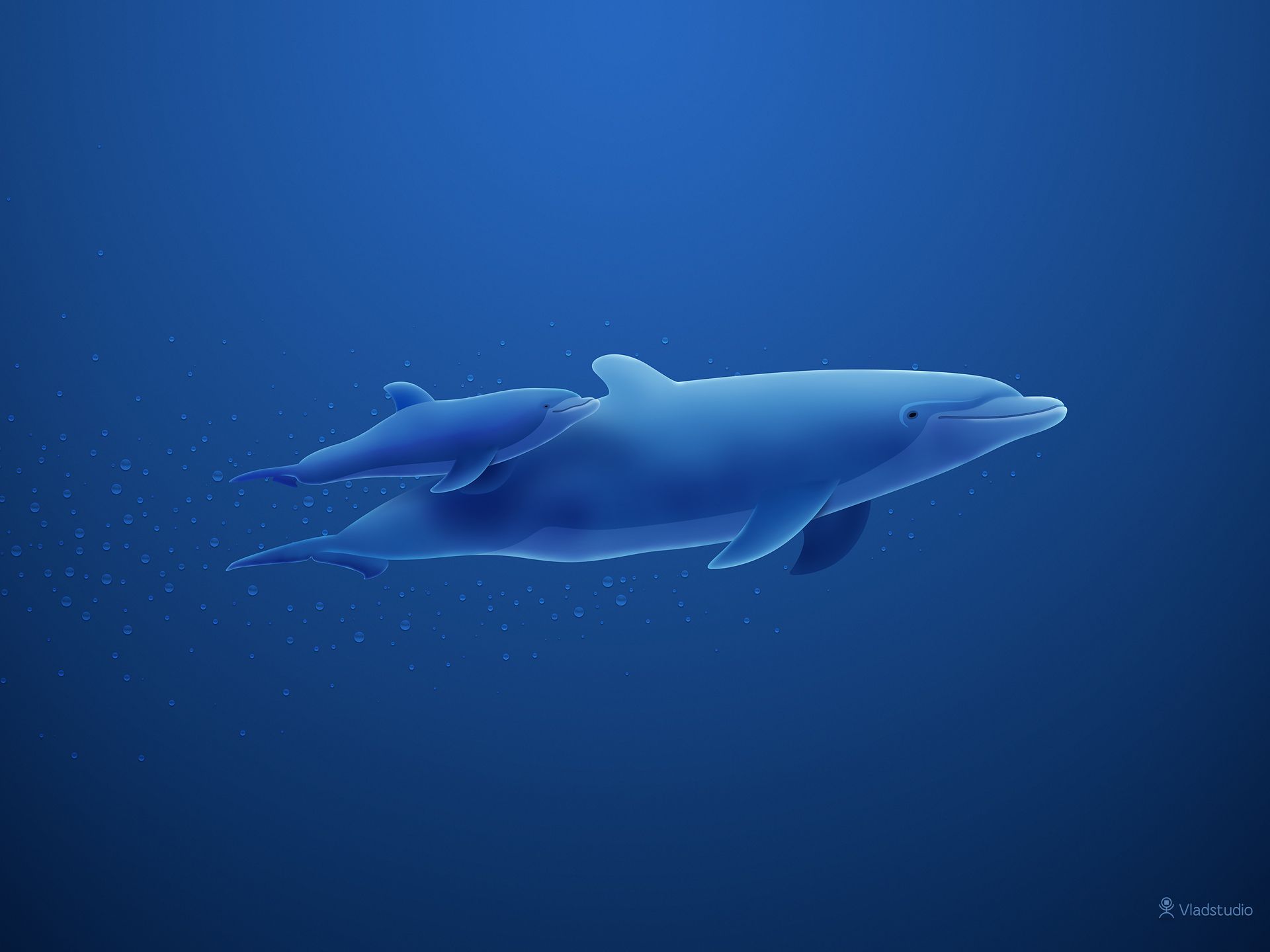 Handy-Wallpaper Tiere, Delfin kostenlos herunterladen.