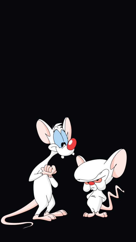 pinky and the brain, tv show