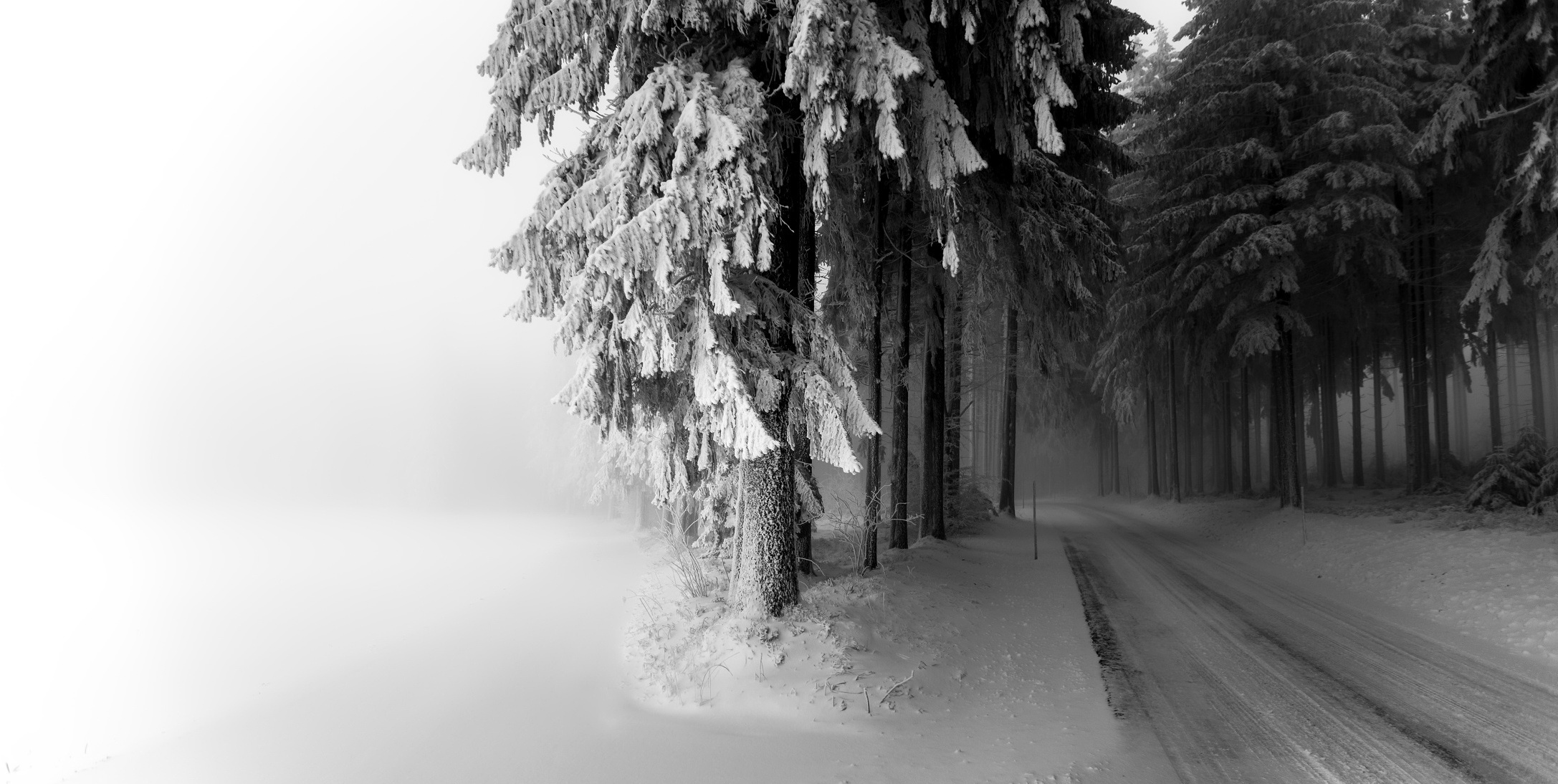 Download mobile wallpaper Winter, Nature, Snow, Road, Tree, Photography, Black & White for free.