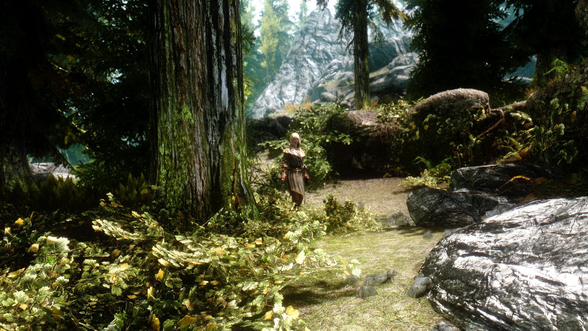 Baixe gratuitamente a imagem Videogame, The Elder Scrolls V: Skyrim, Os Pergaminhos Anciões na área de trabalho do seu PC