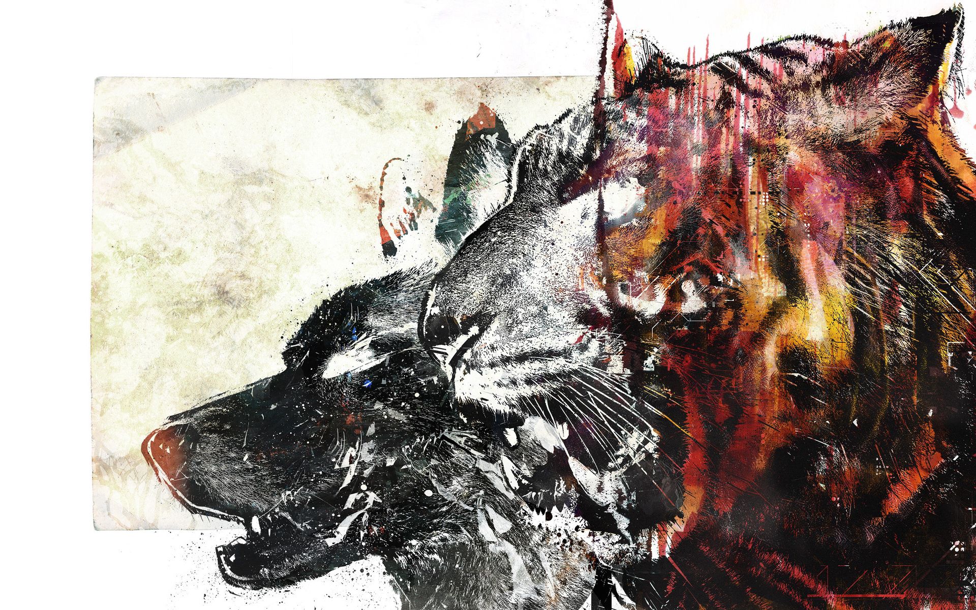 Handy-Wallpaper Tiger, Bild, Zeichnung, Abstrakt, Wolf kostenlos herunterladen.