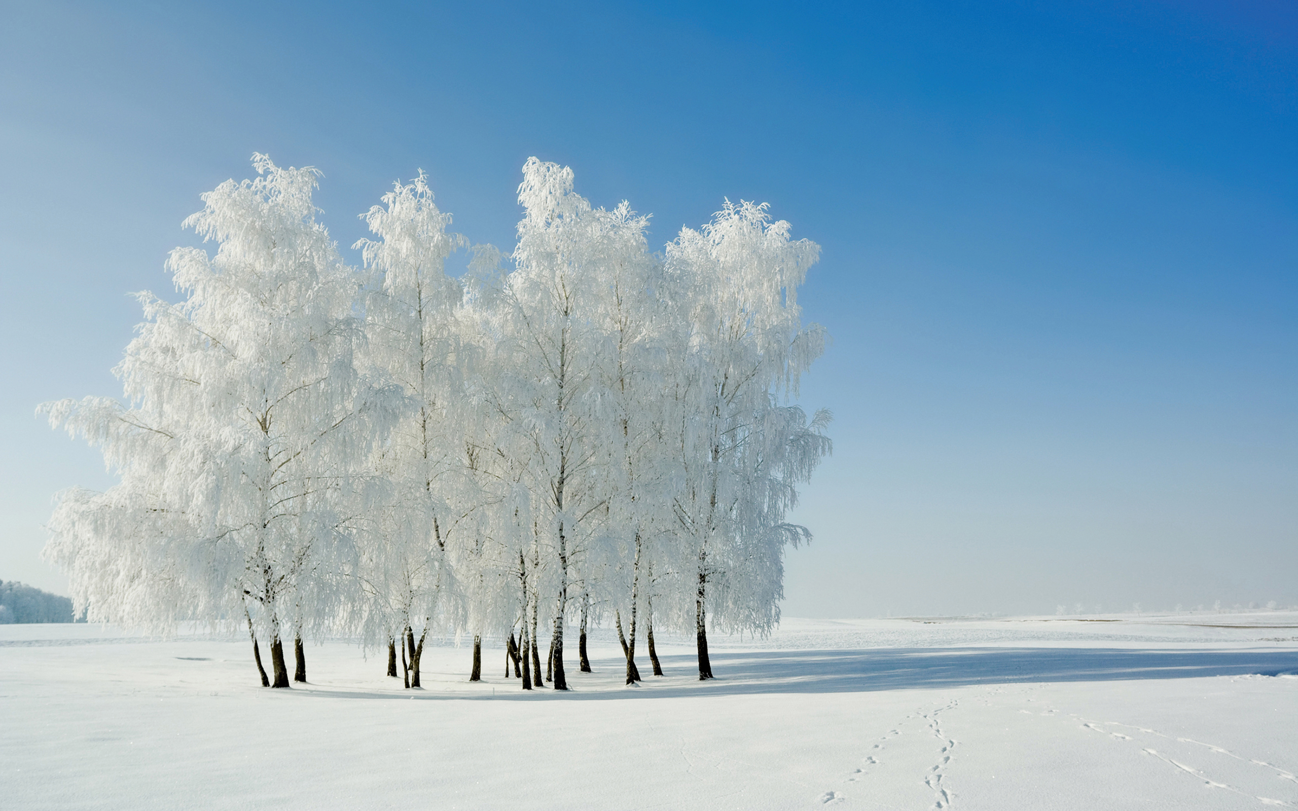 Handy-Wallpaper Winter, Erde/natur kostenlos herunterladen.