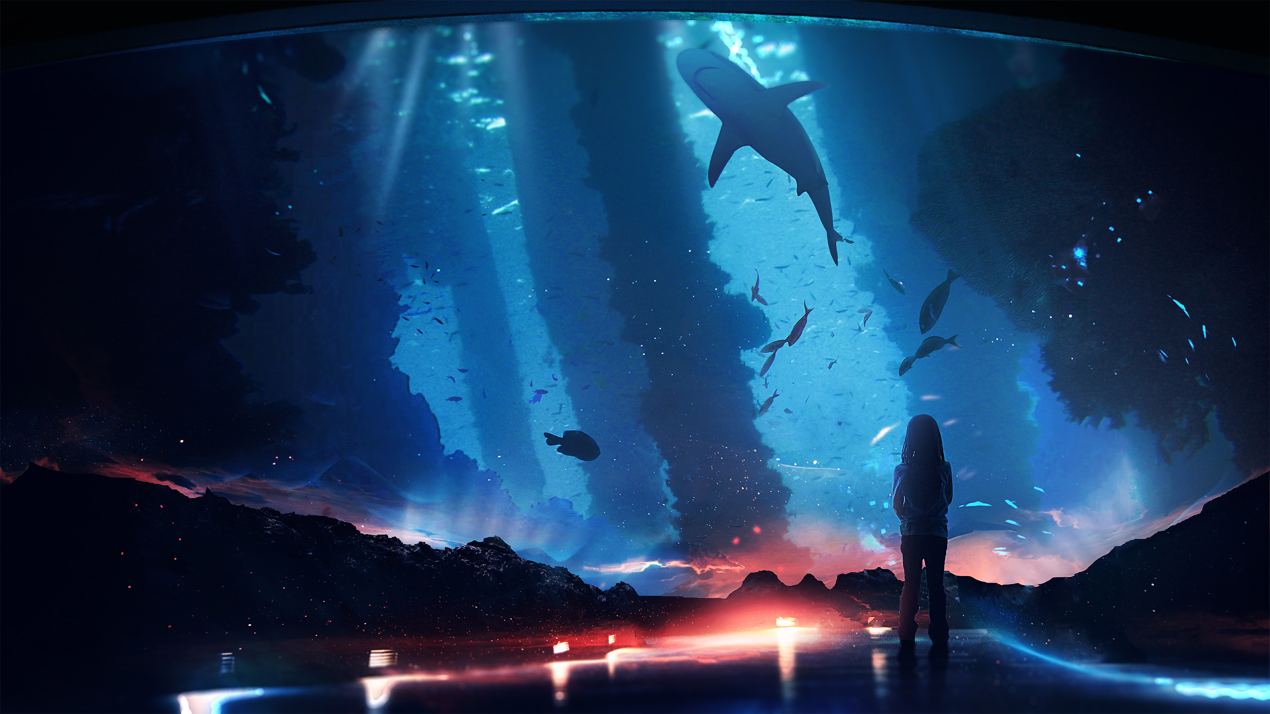 767465 télécharger l'image aquarium, fantaisie, enfant, requin - fonds d'écran et économiseurs d'écran gratuits