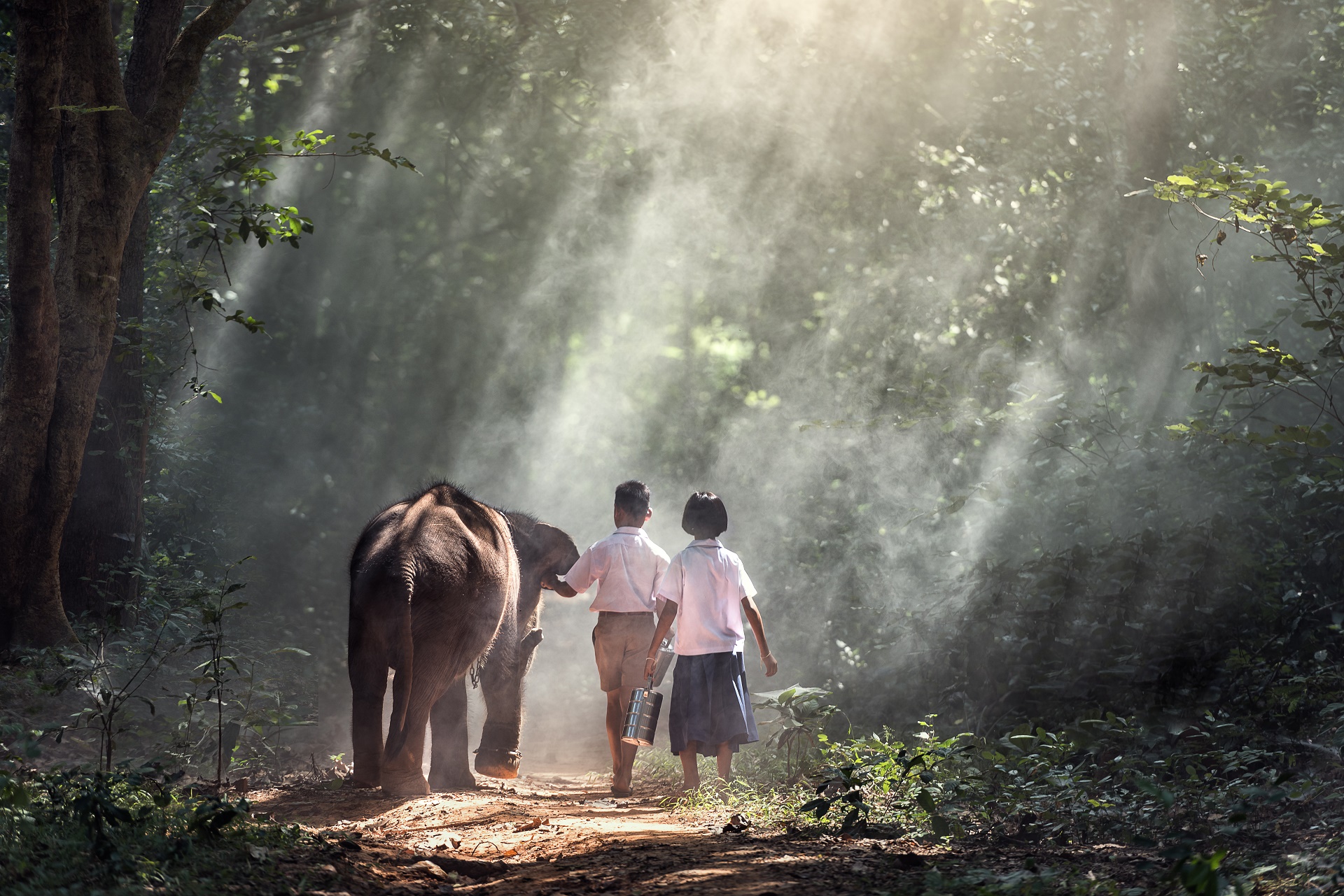 Free download wallpaper Elephants, Animal, Child, Asian Elephant on your PC desktop