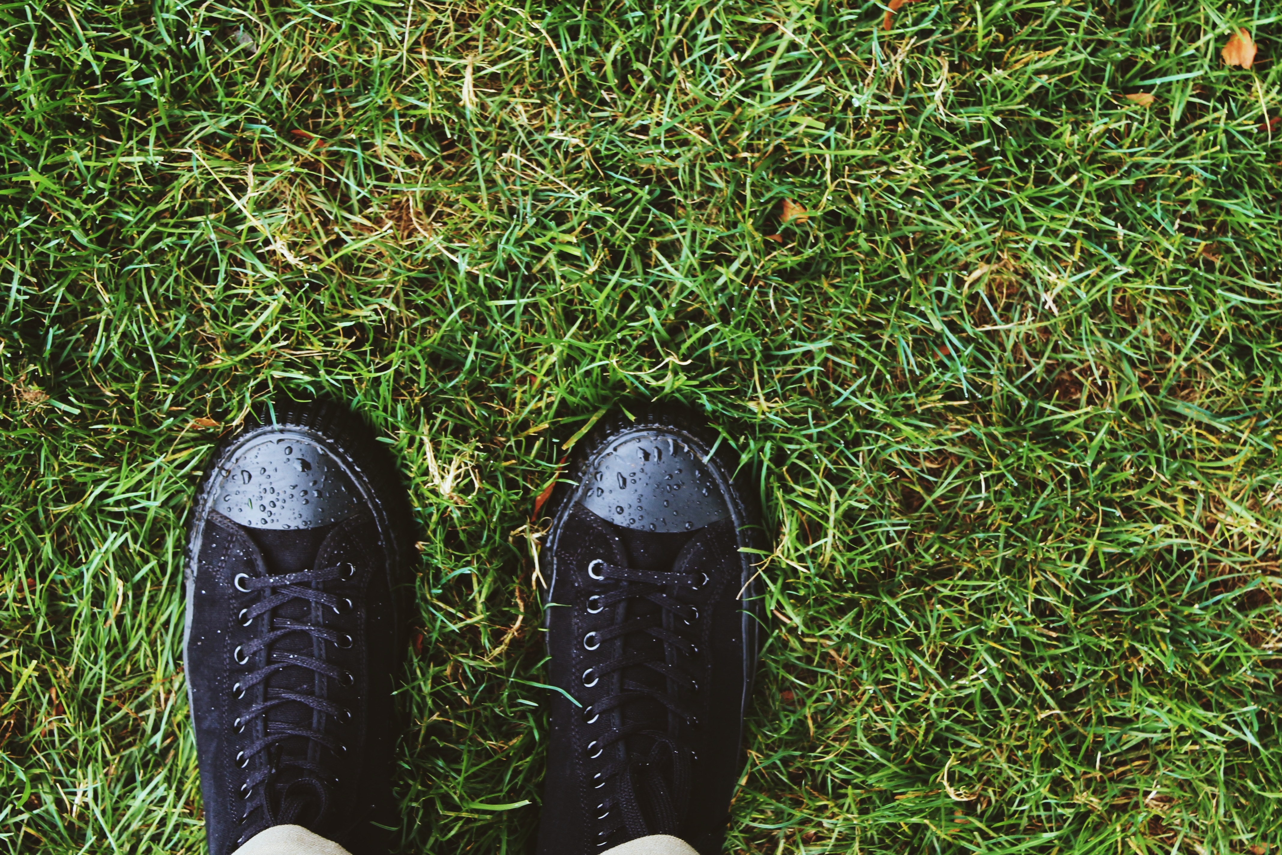 Free download wallpaper Dew, Sneakers, Shoes, Grass, Drops, Minimalism on your PC desktop