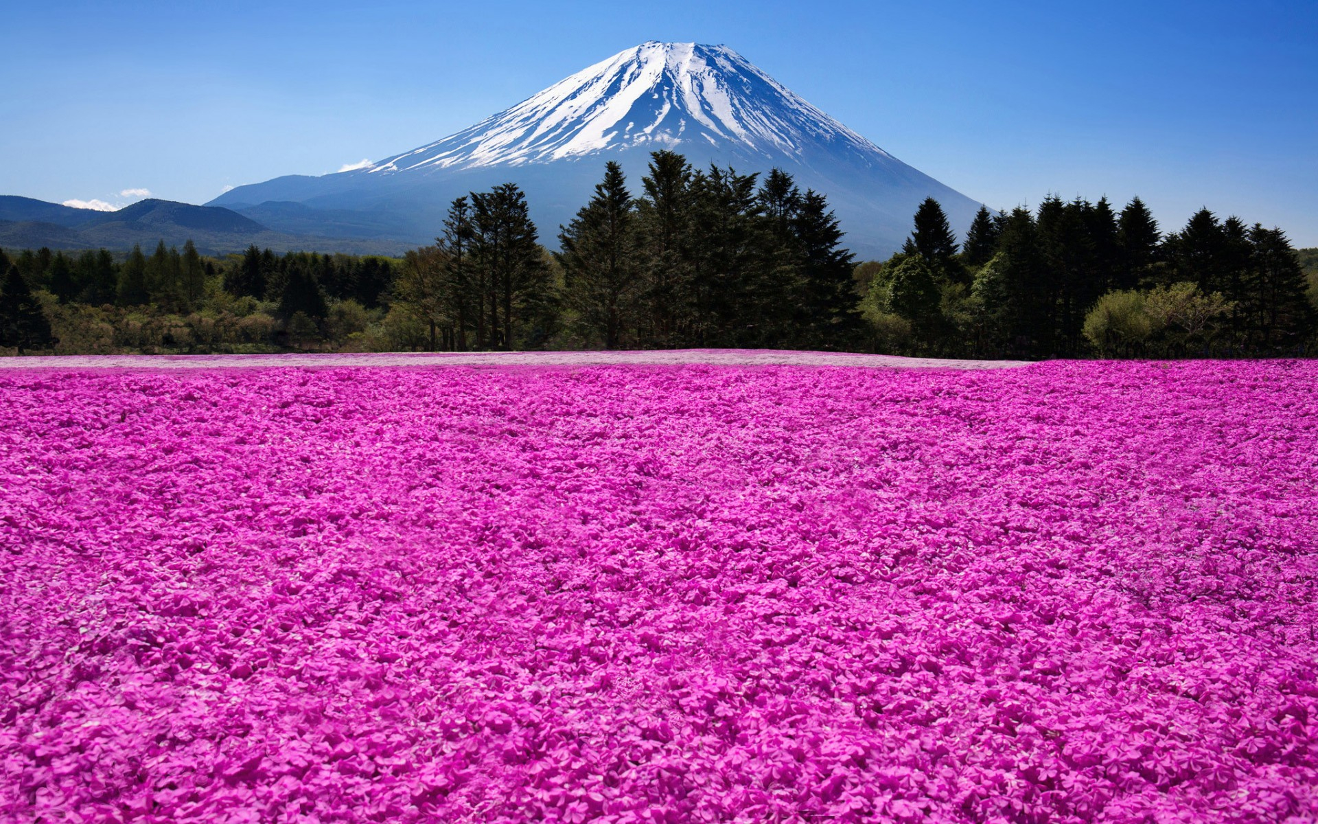 Скачати мобільні шпалери Гора Фудзі, Японія, Вулкани, Земля безкоштовно.