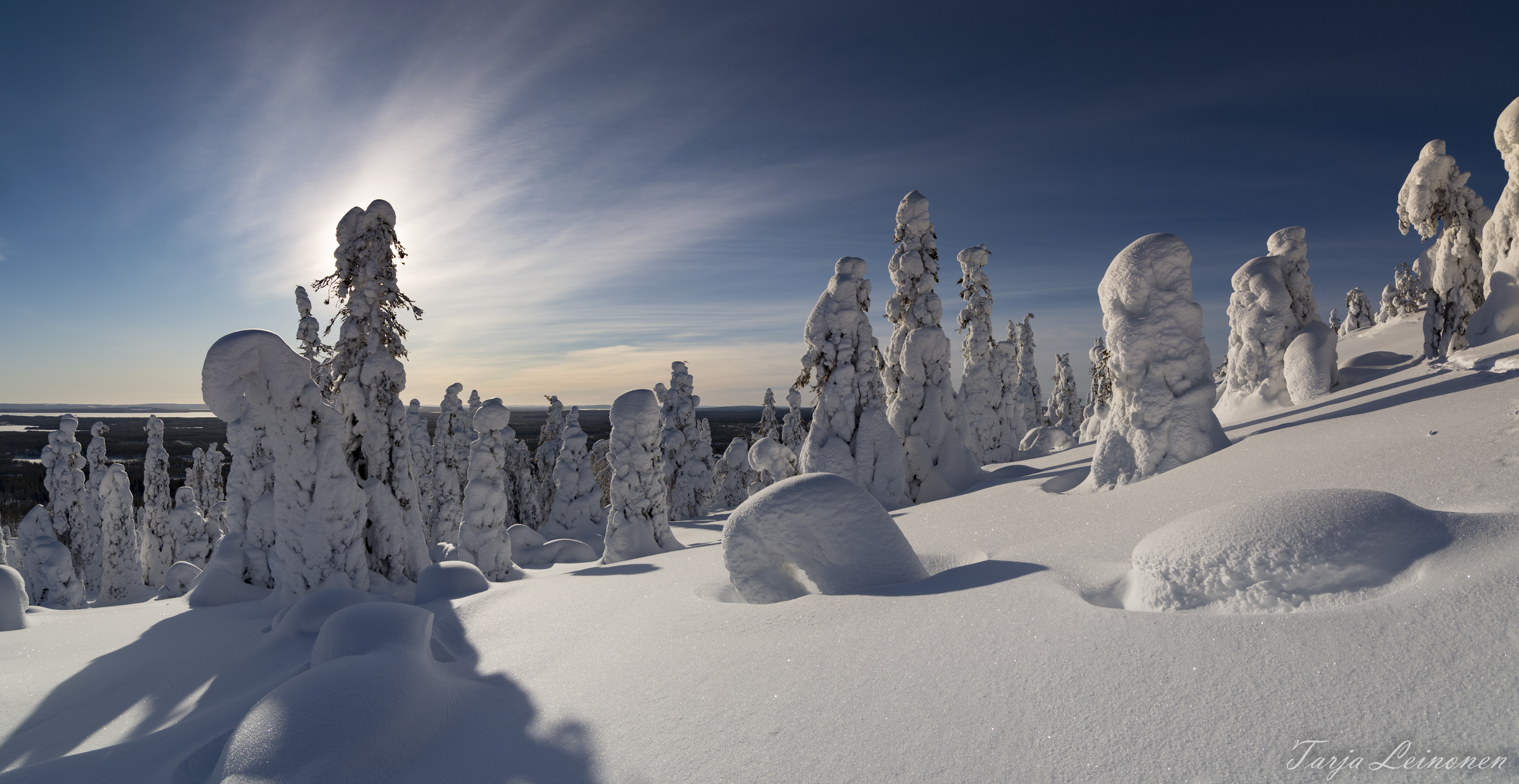 Скачать картинку Зима, Национальный Парк, Финляндия, Земля/природа, Национальный Парк Рииситунтури в телефон бесплатно.