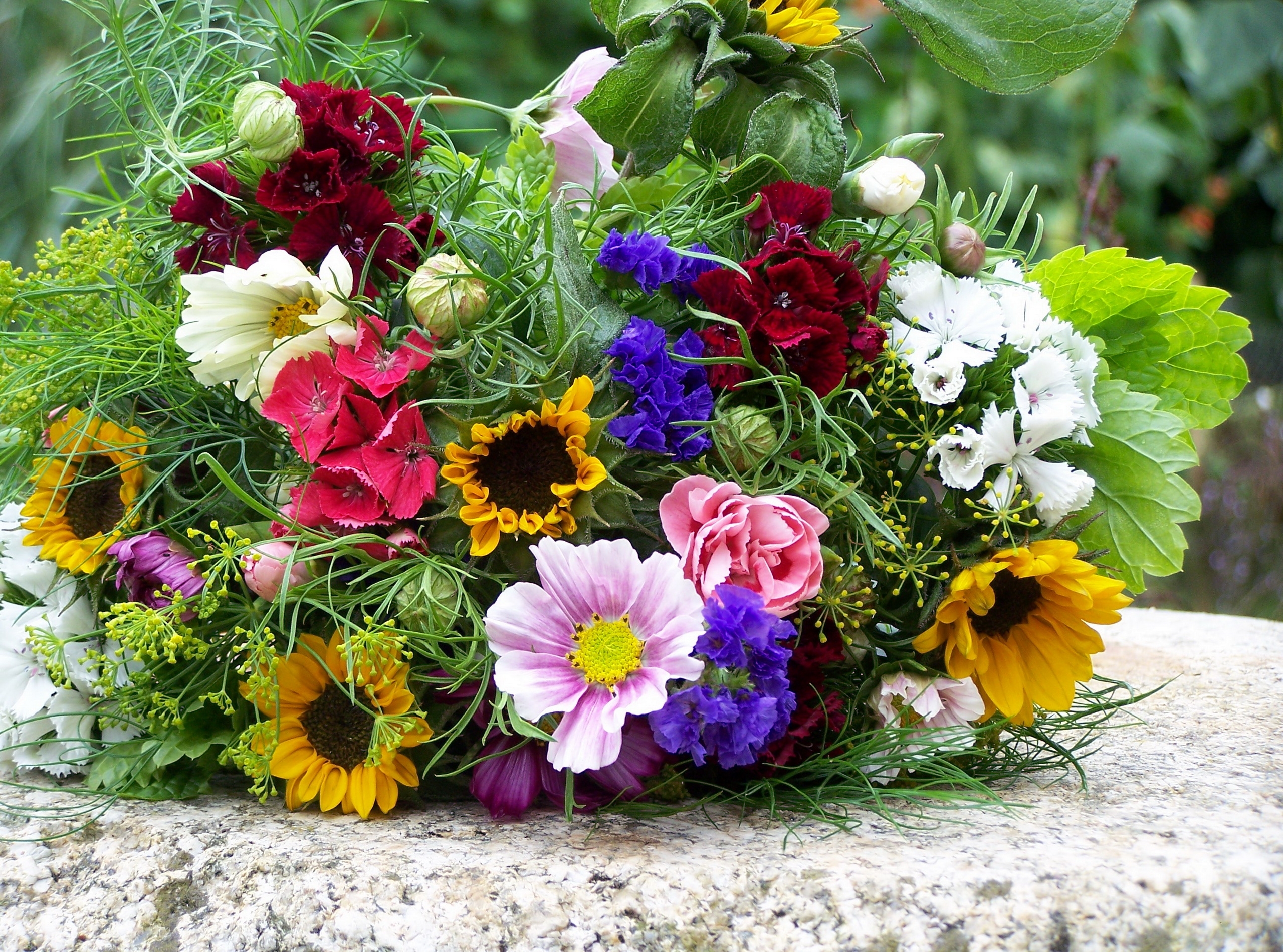110592 télécharger l'image fleurs, été, bouquet, coloré, ambiance, humeur, graphiquement - fonds d'écran et économiseurs d'écran gratuits