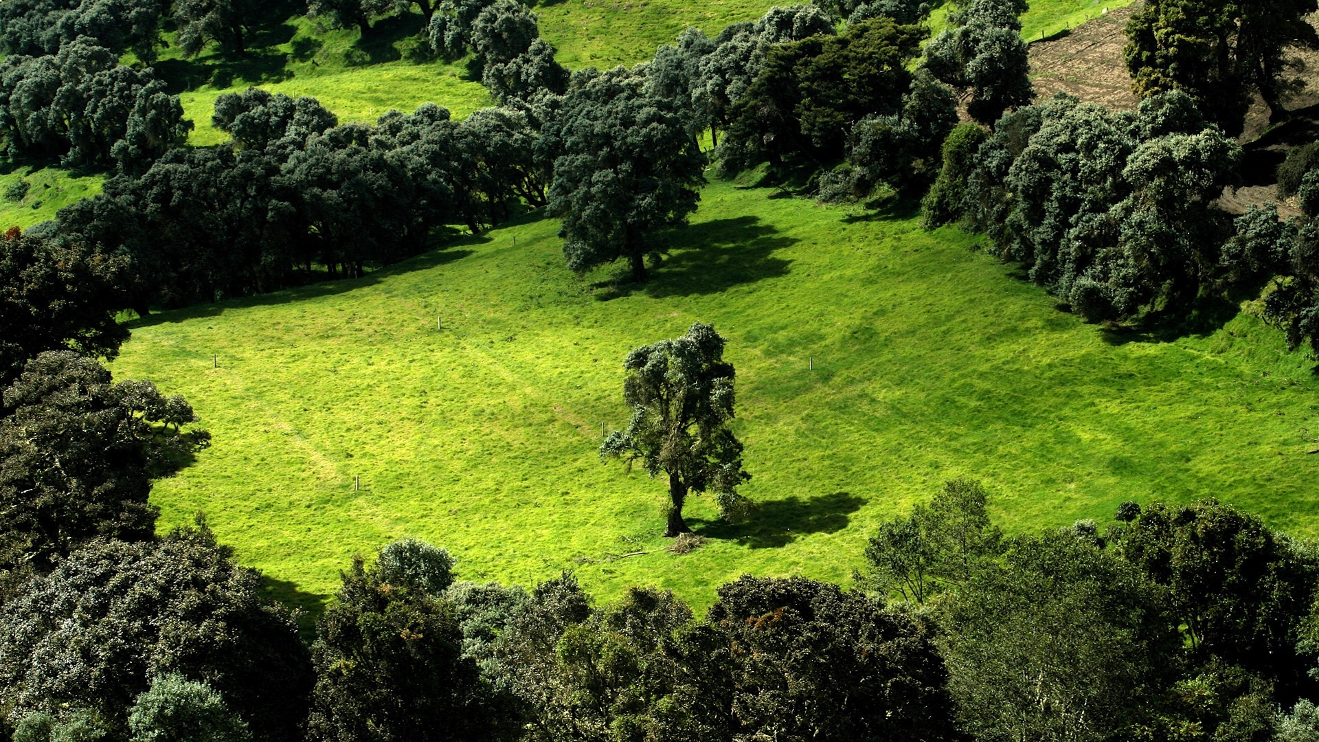 Download mobile wallpaper Trees, Landscape, Nature for free.