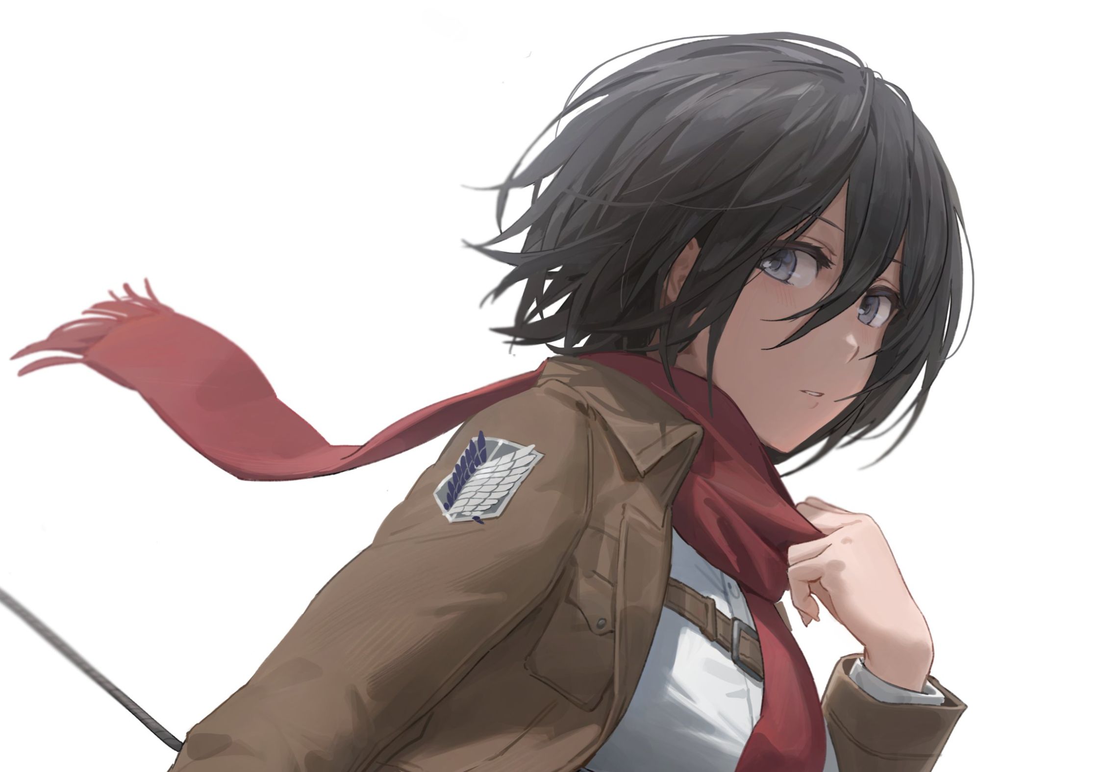 Descarga gratuita de fondo de pantalla para móvil de Animado, Mikasa Ackerman, Ataque A Los Titanes.