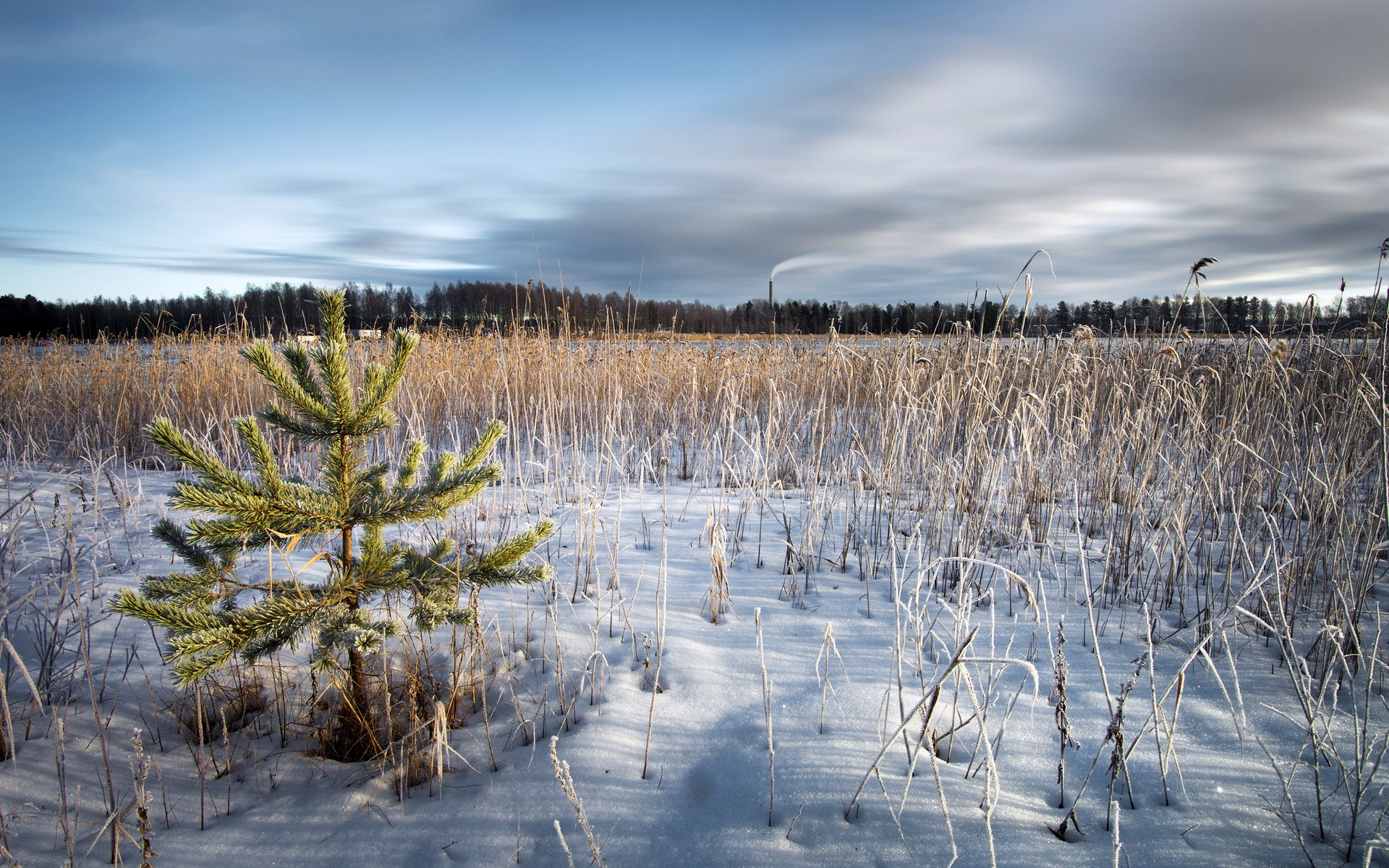 Téléchargez gratuitement l'image Hiver, Terre/nature sur le bureau de votre PC